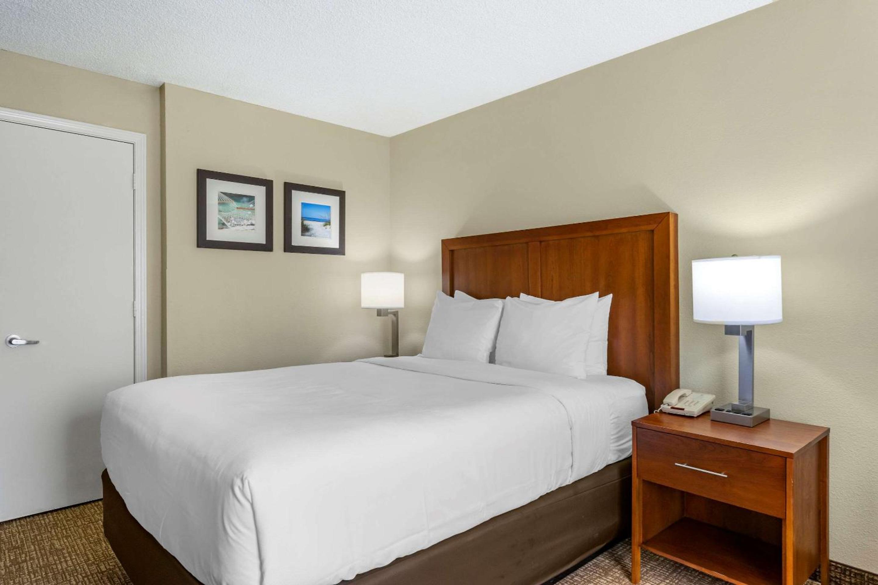 Comfort Inn & Suites St Pete - Clearwater International Airport, Bild 2