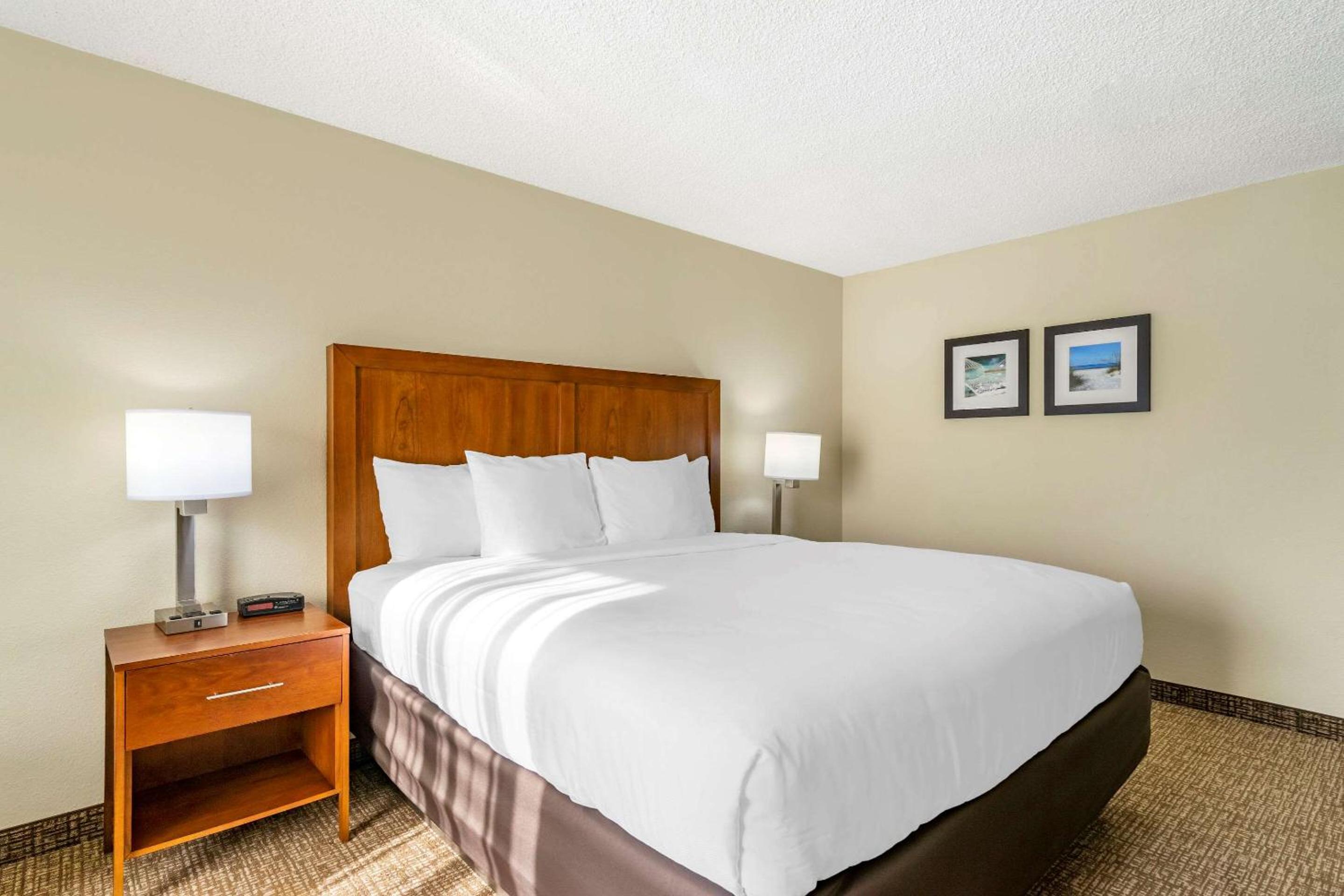One-Bedroom King Suite with Sofa Bed - Non-Smoking - Photo 4