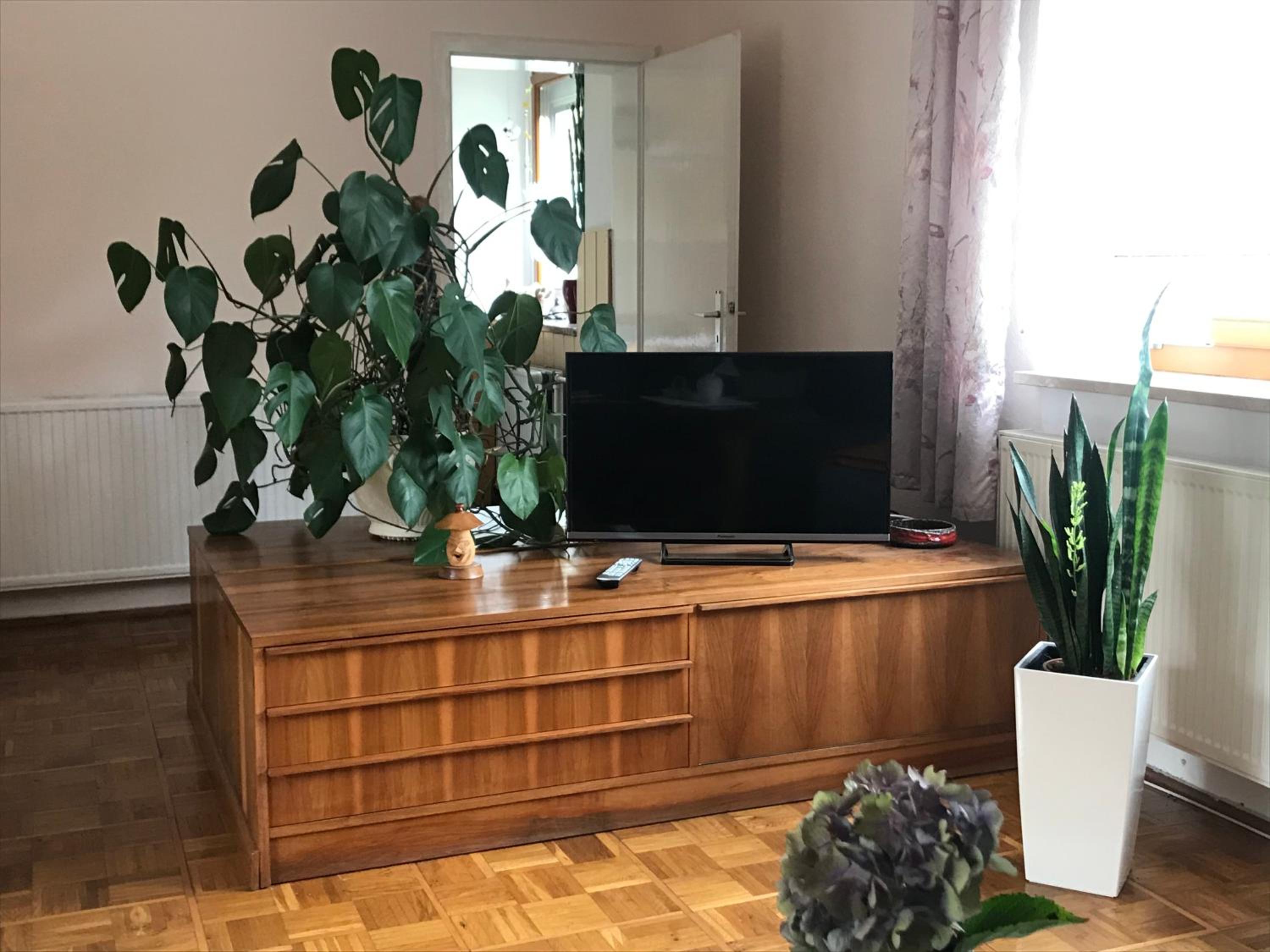 Apartment - Ground Floor photo 3
