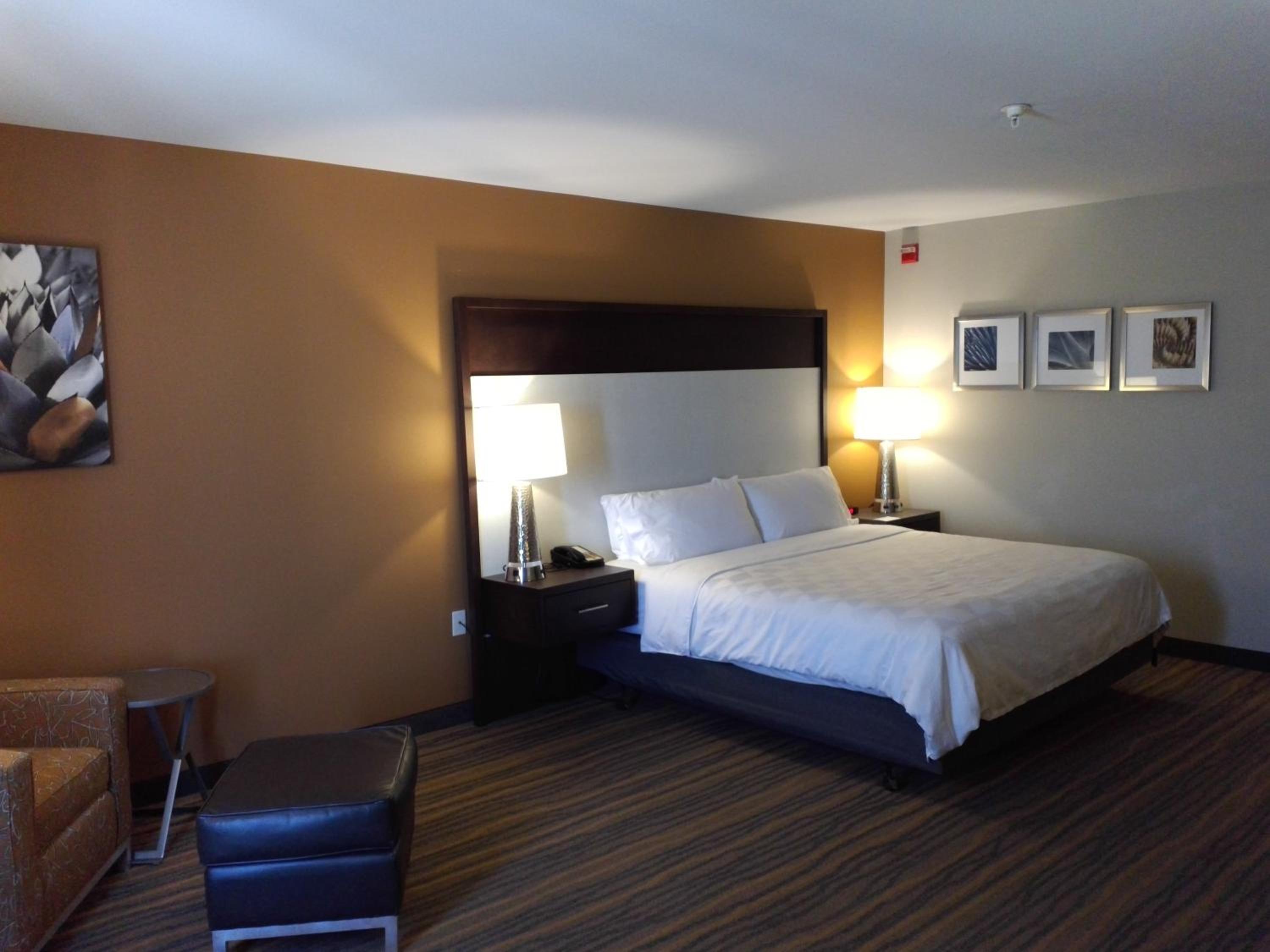 Standard King Room with Roll-in Shower - Mobility Accessible - Photo 1