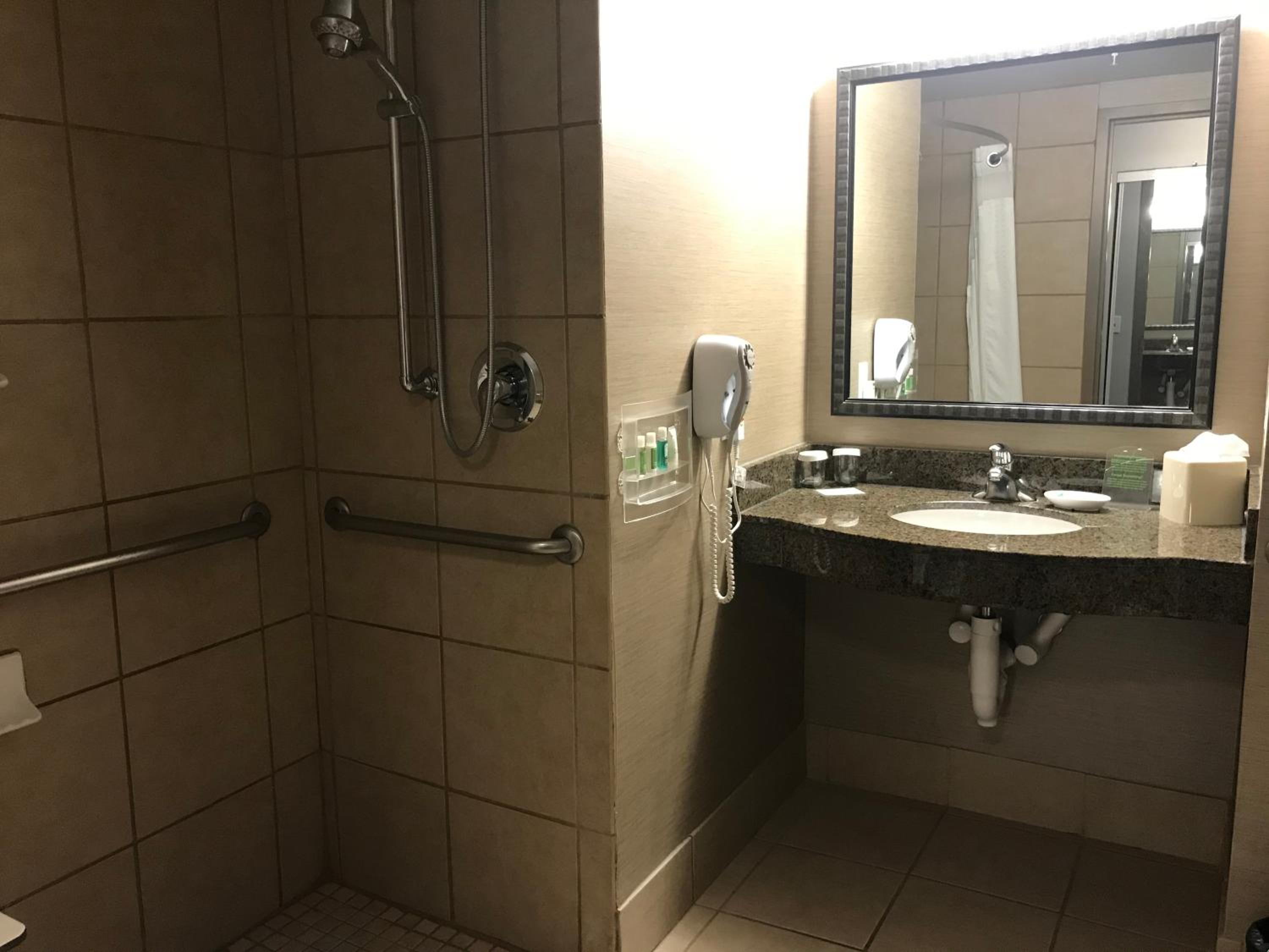 Standard King Room with Roll-in Shower - Mobility Accessible - Photo 4
