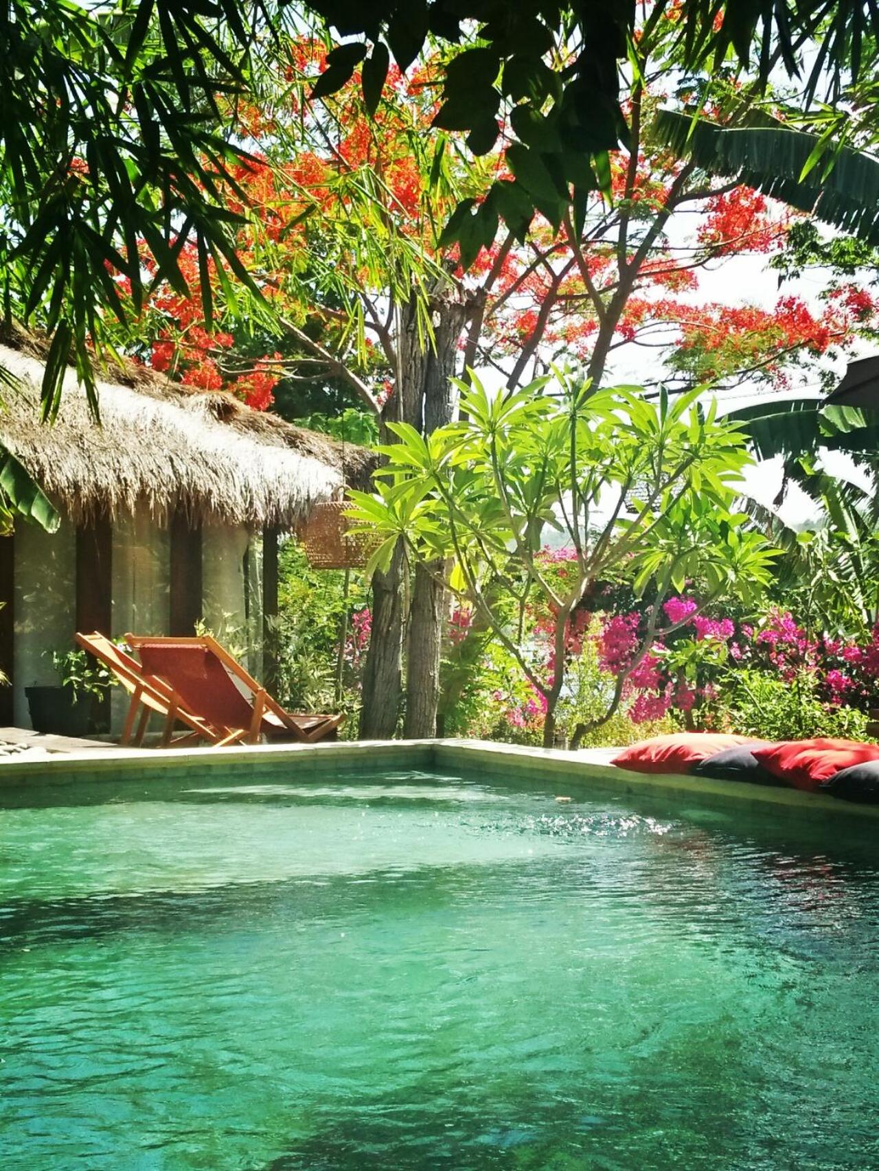 Deluxe Room Poolside photo 2