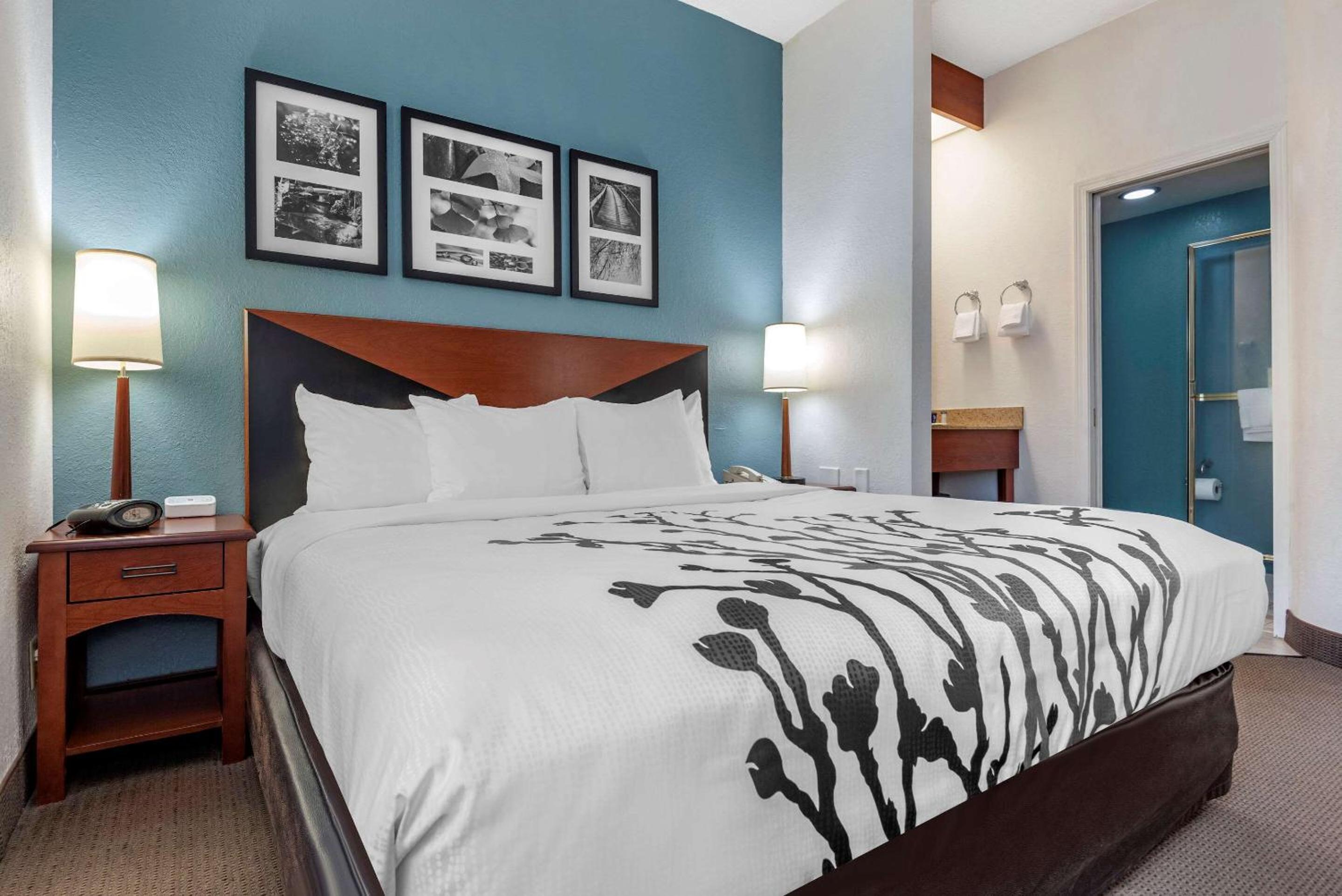 Standard King Room - Photo 5
