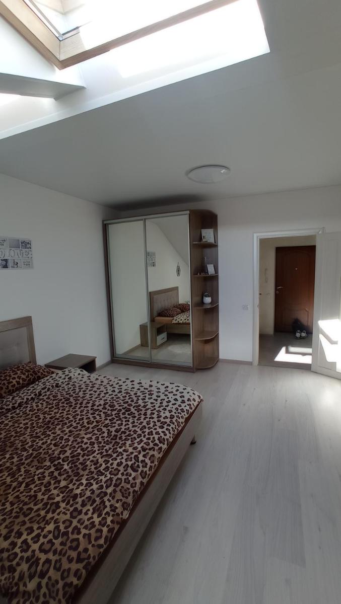 One-Bedroom Apartment photo 3