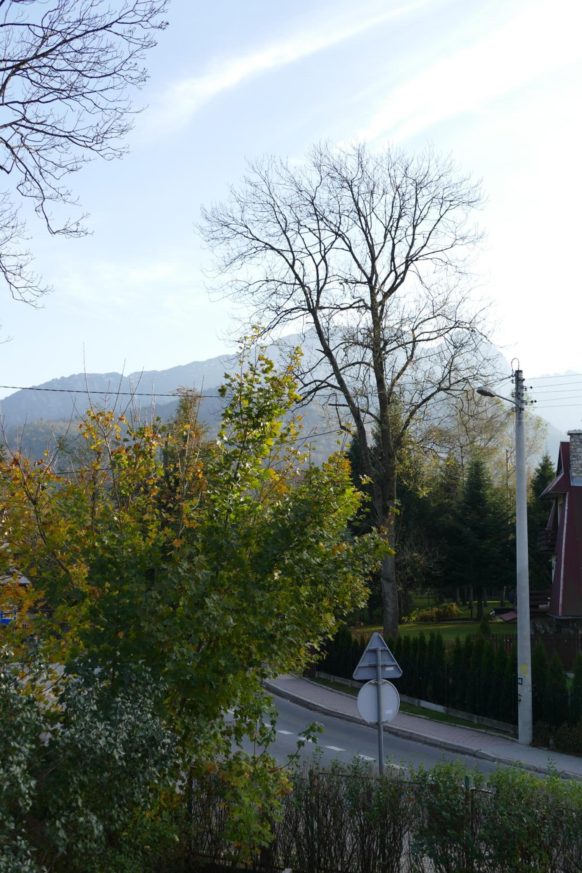 Double Room with Mountain View - Photo 5