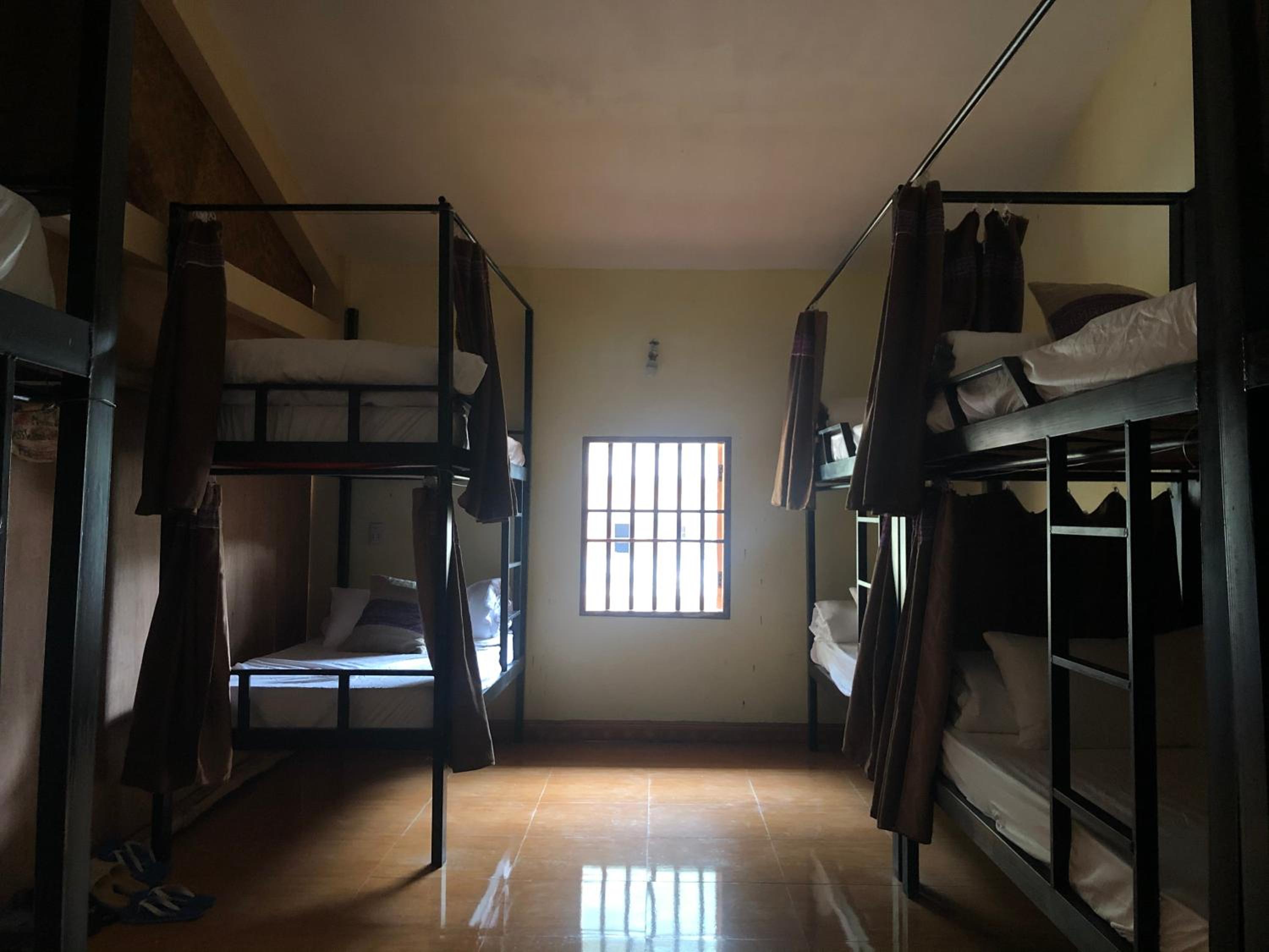 Bunk Bed In Mixed Dormitory Room photo 3