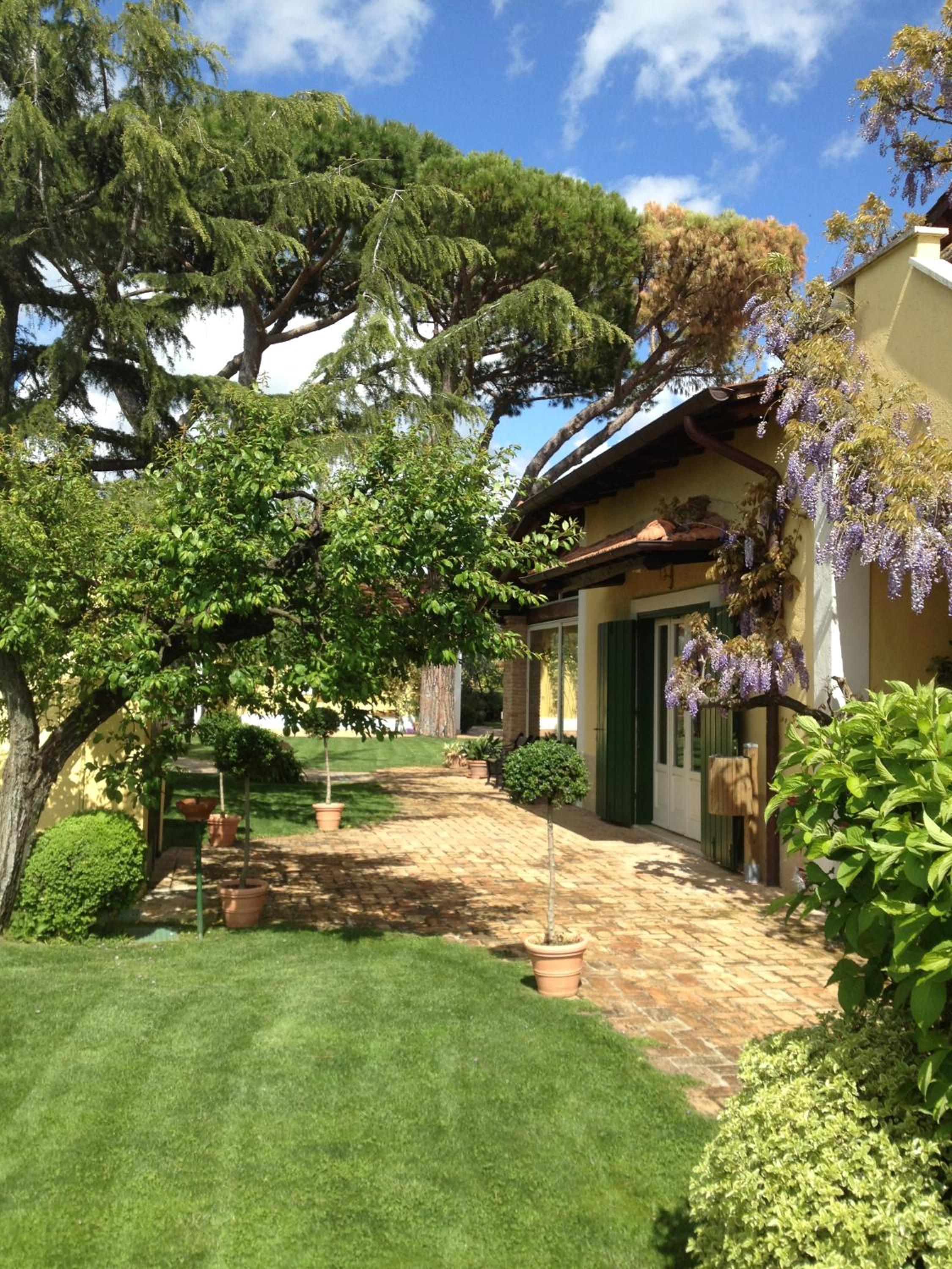 Single Room with Garden View photo 2