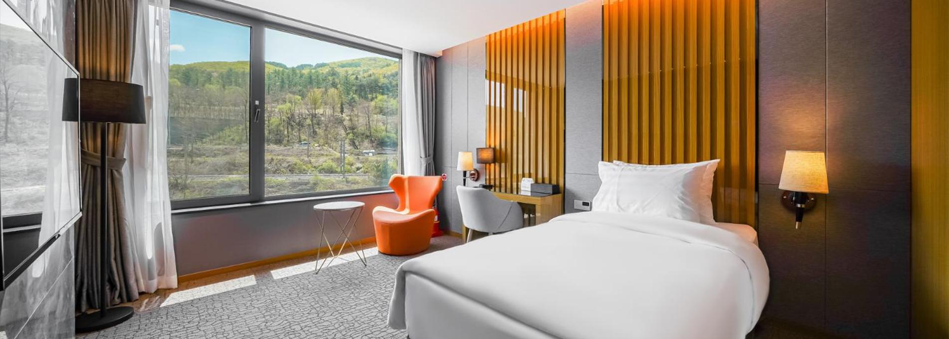 Superior Single Room
