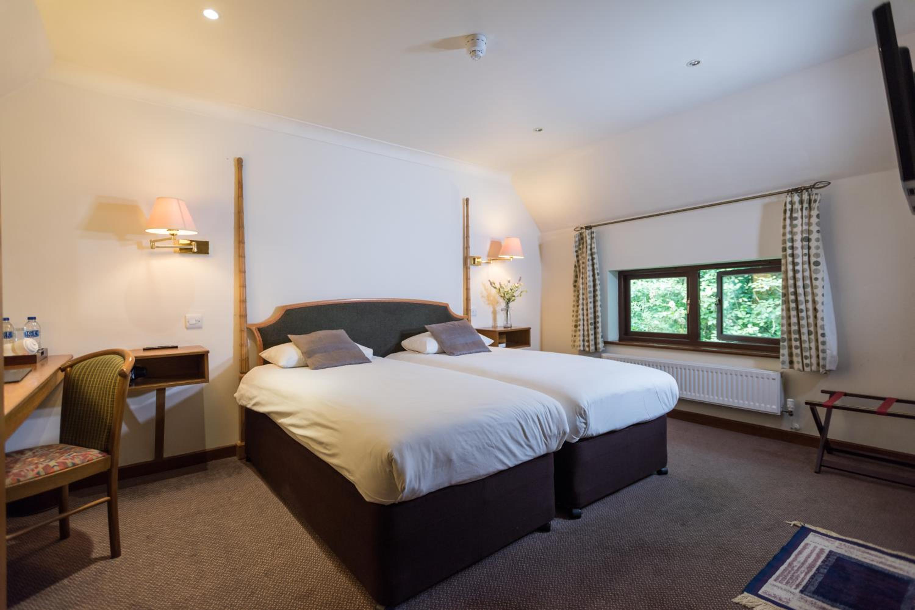 Twin Room photo 1