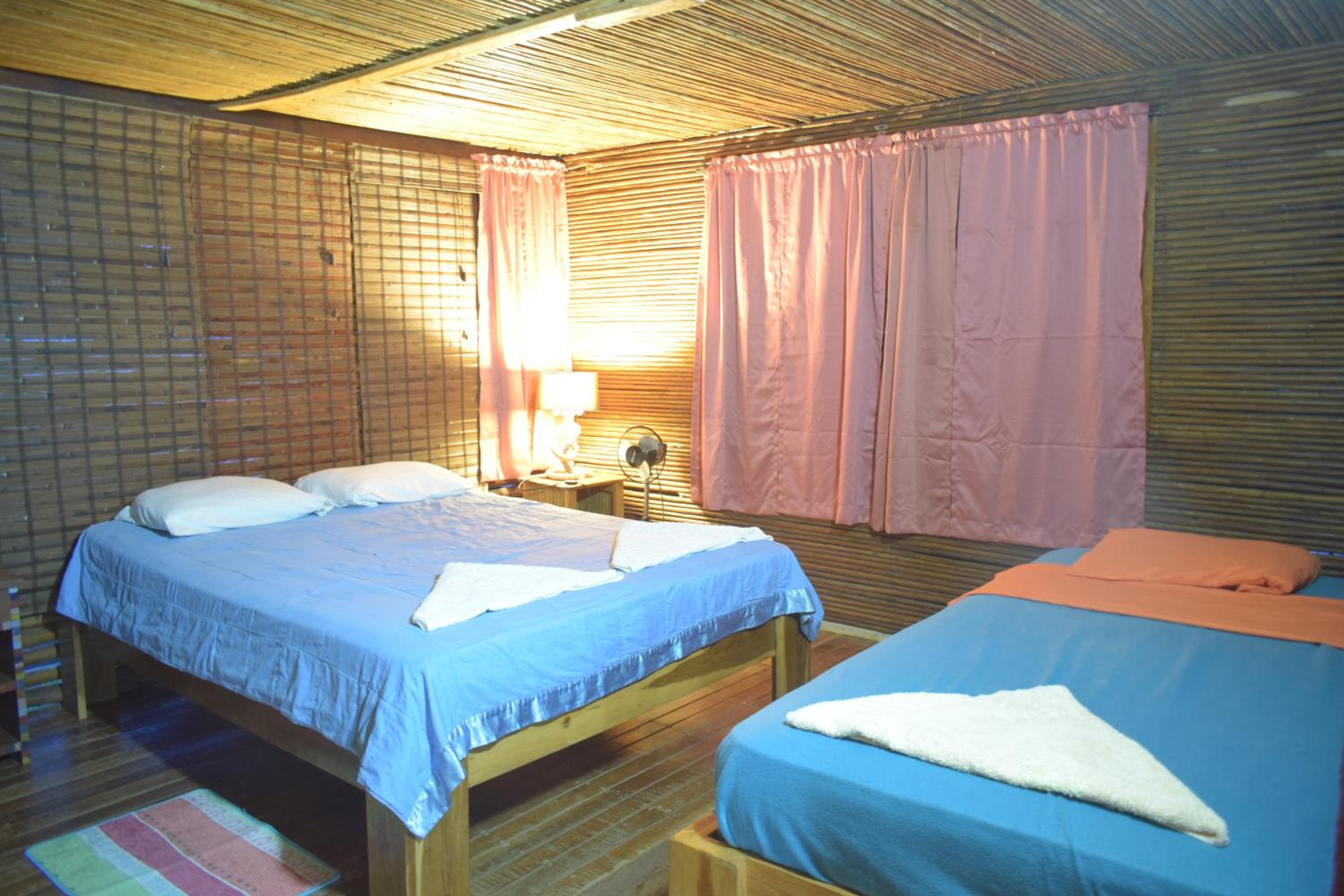 Mixed Dormitory Room photo 3