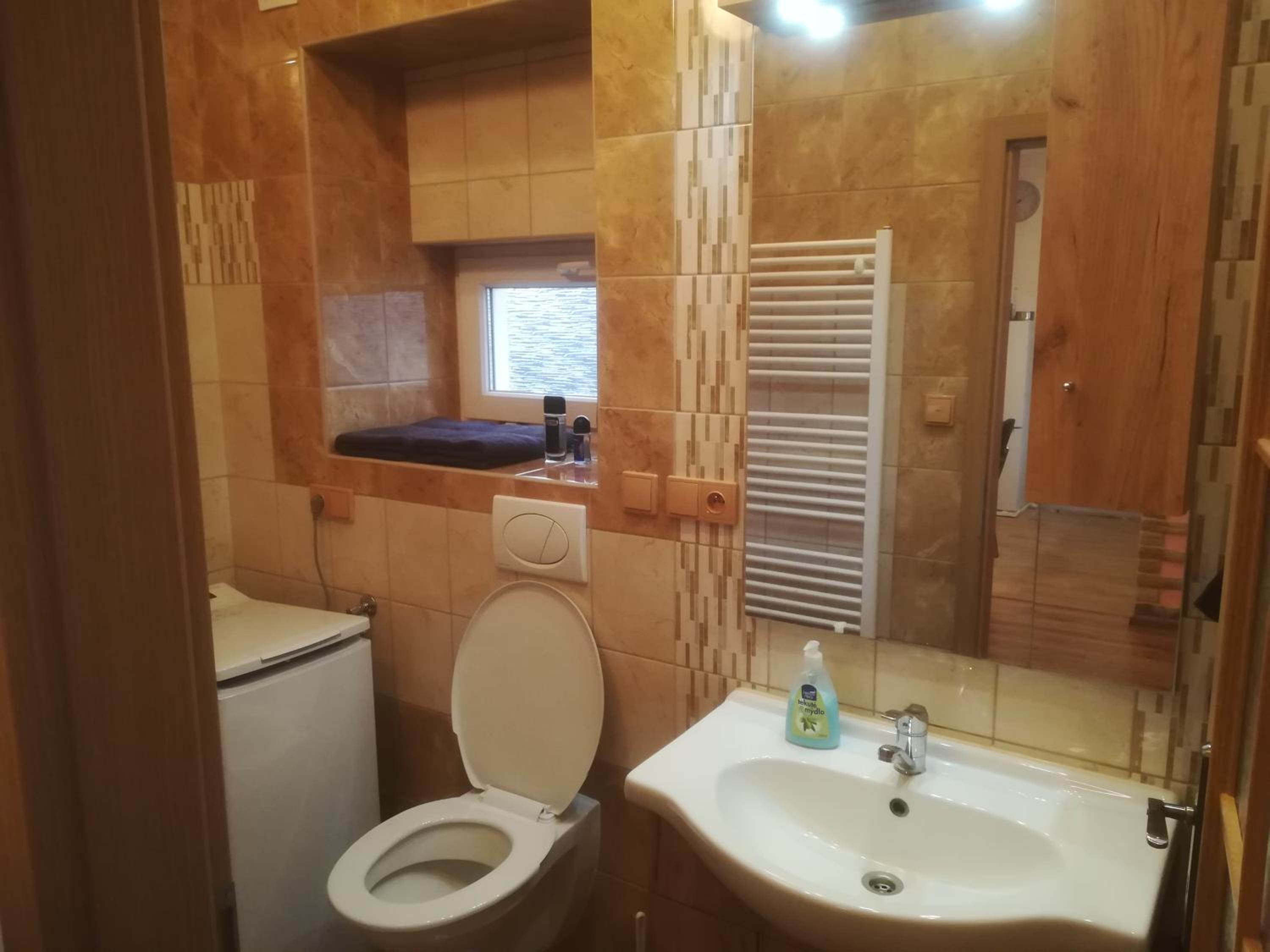 One-Bedroom Apartment - Photo 2