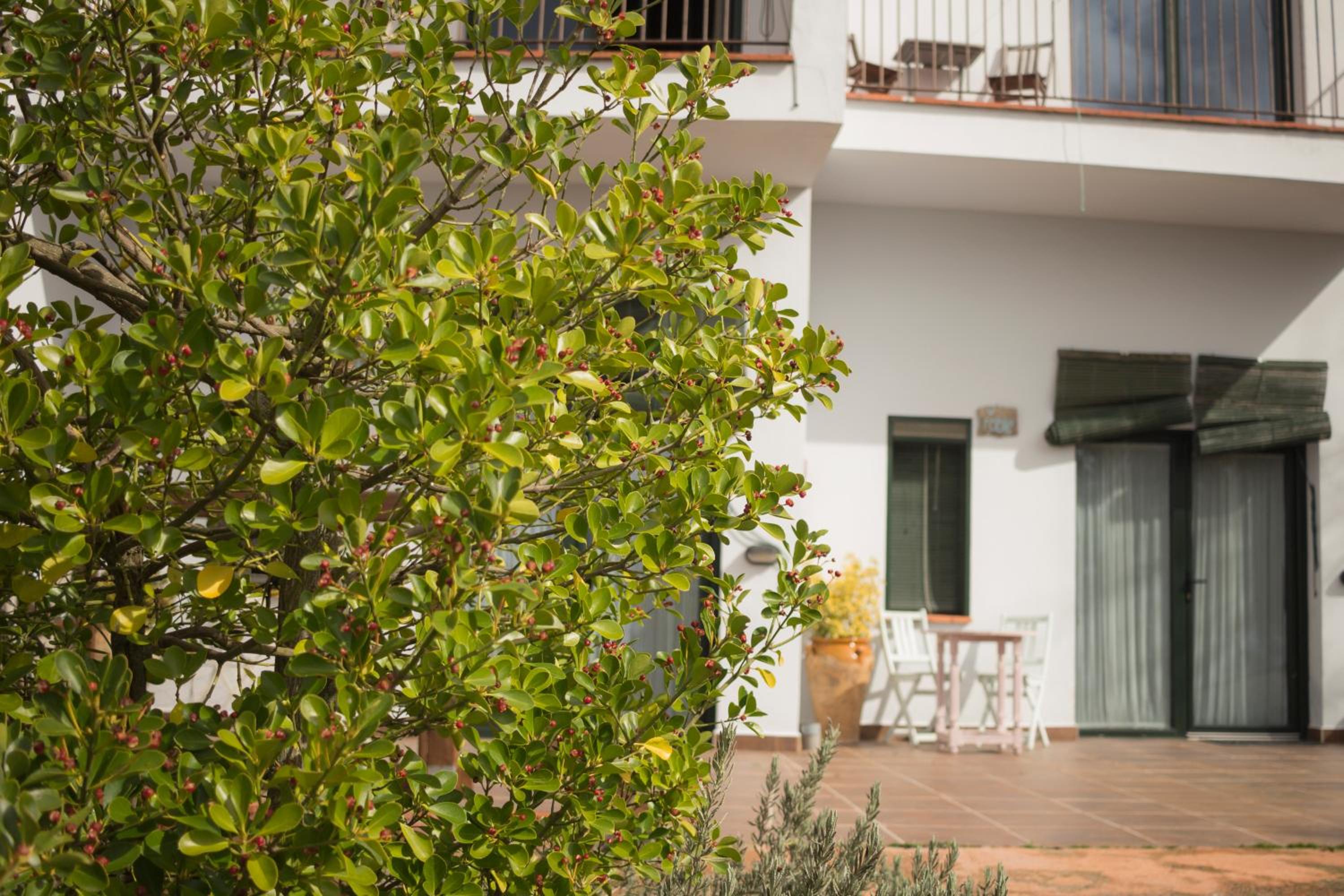 Αγροτικό Κατάλυμα Camino Beturia, Φωτογραφία 3