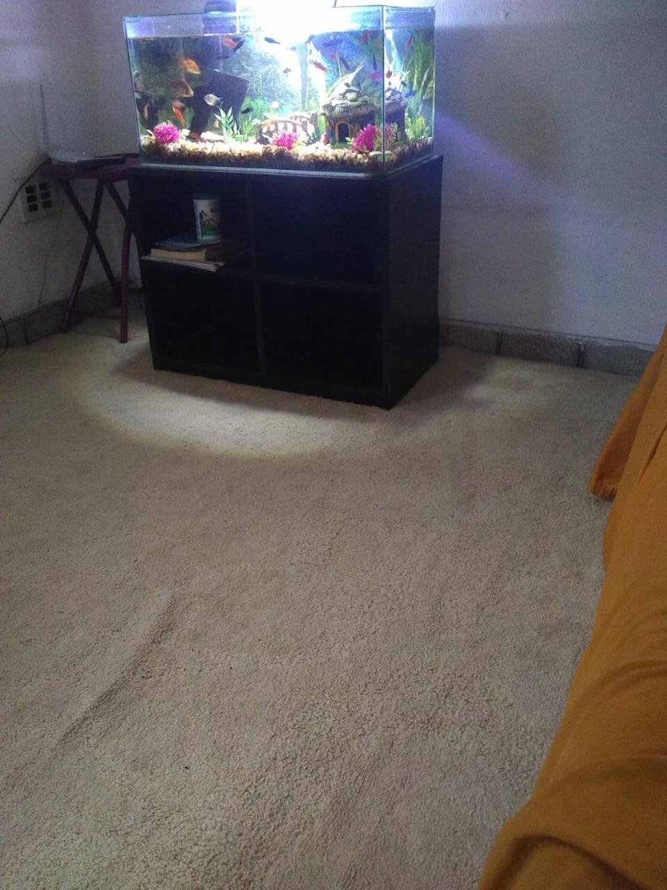 Large Twin Room - Photo 3