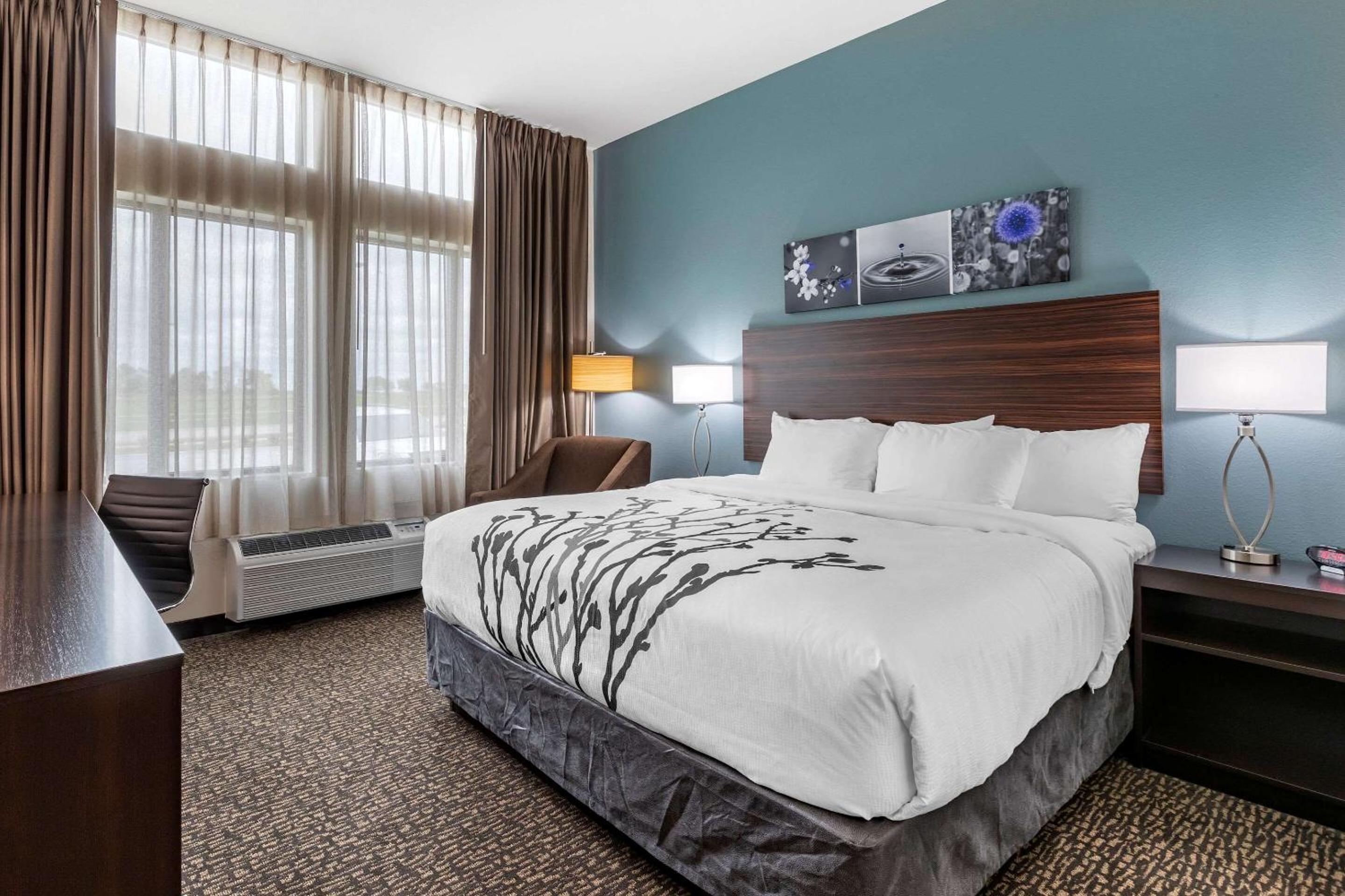King Room - Non-Smoking - Photo 1