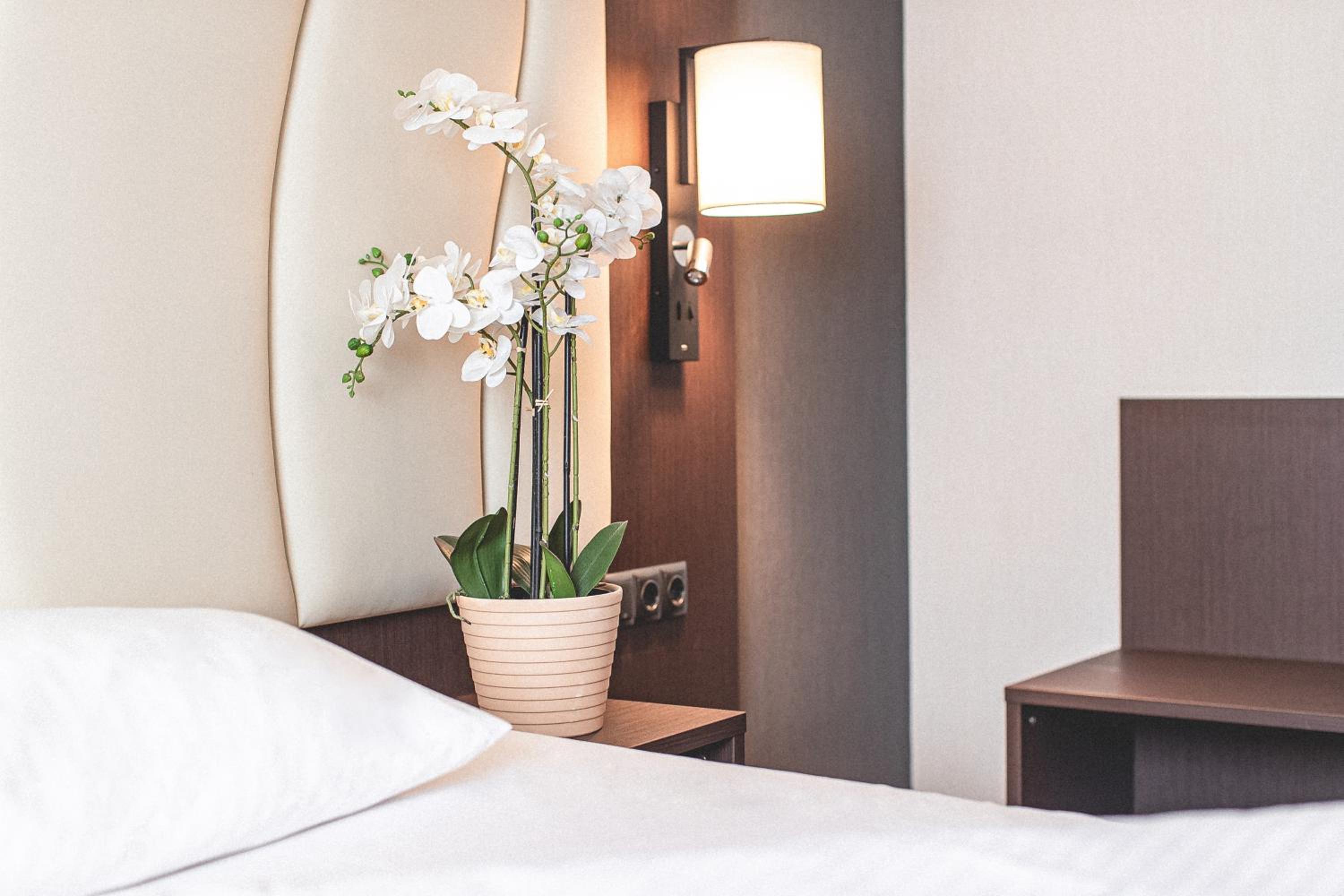 Standard Twin Room - Photo 7