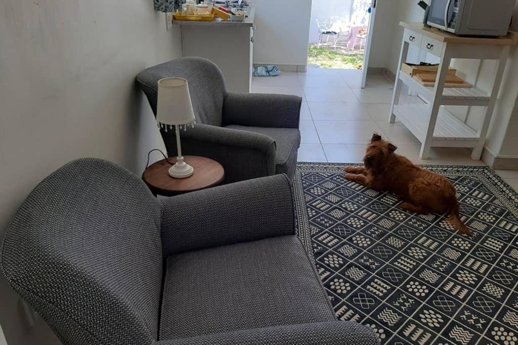 One-Bedroom Apartment - Photo 23