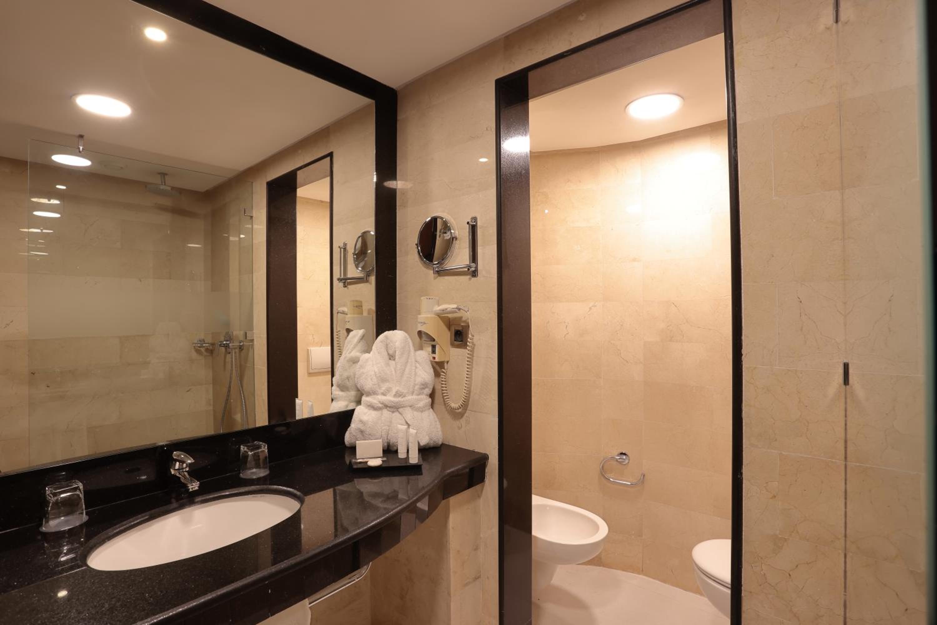 Ambassador Suite - Photo 9