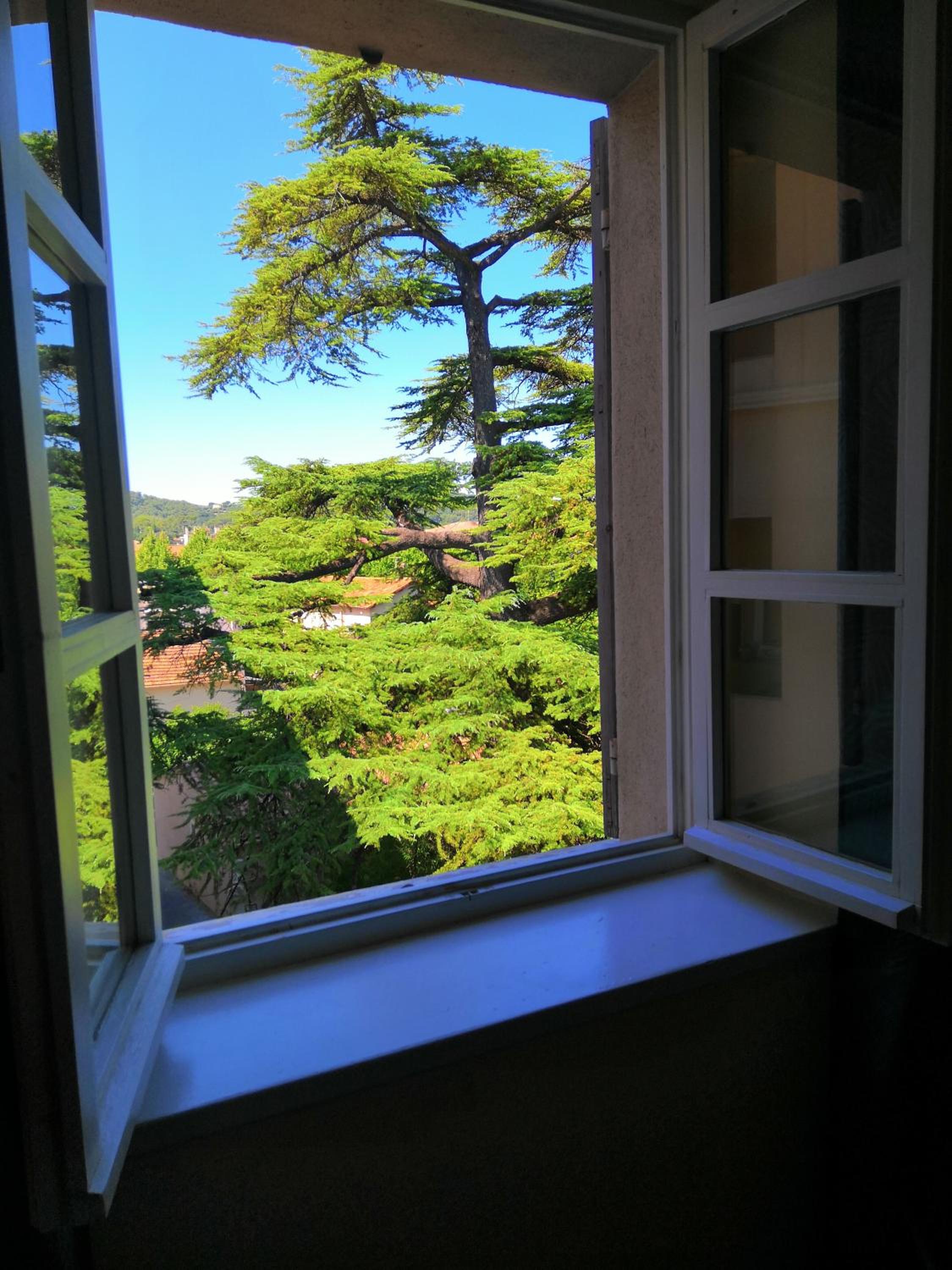 Superior Double Room with Garden View - Photo 4