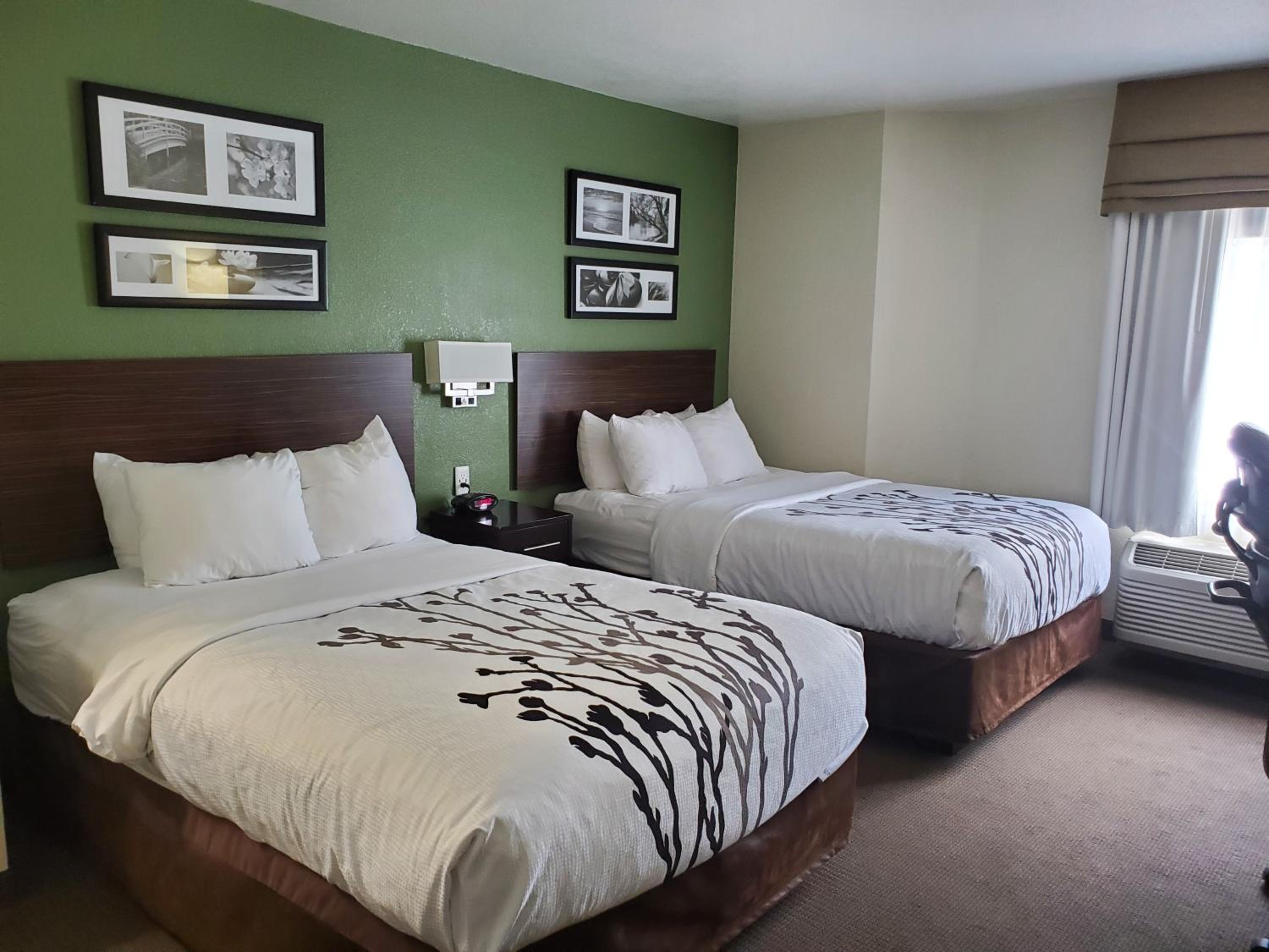 Deluxe Double Room (1 adult + 2 children) - Photo 4