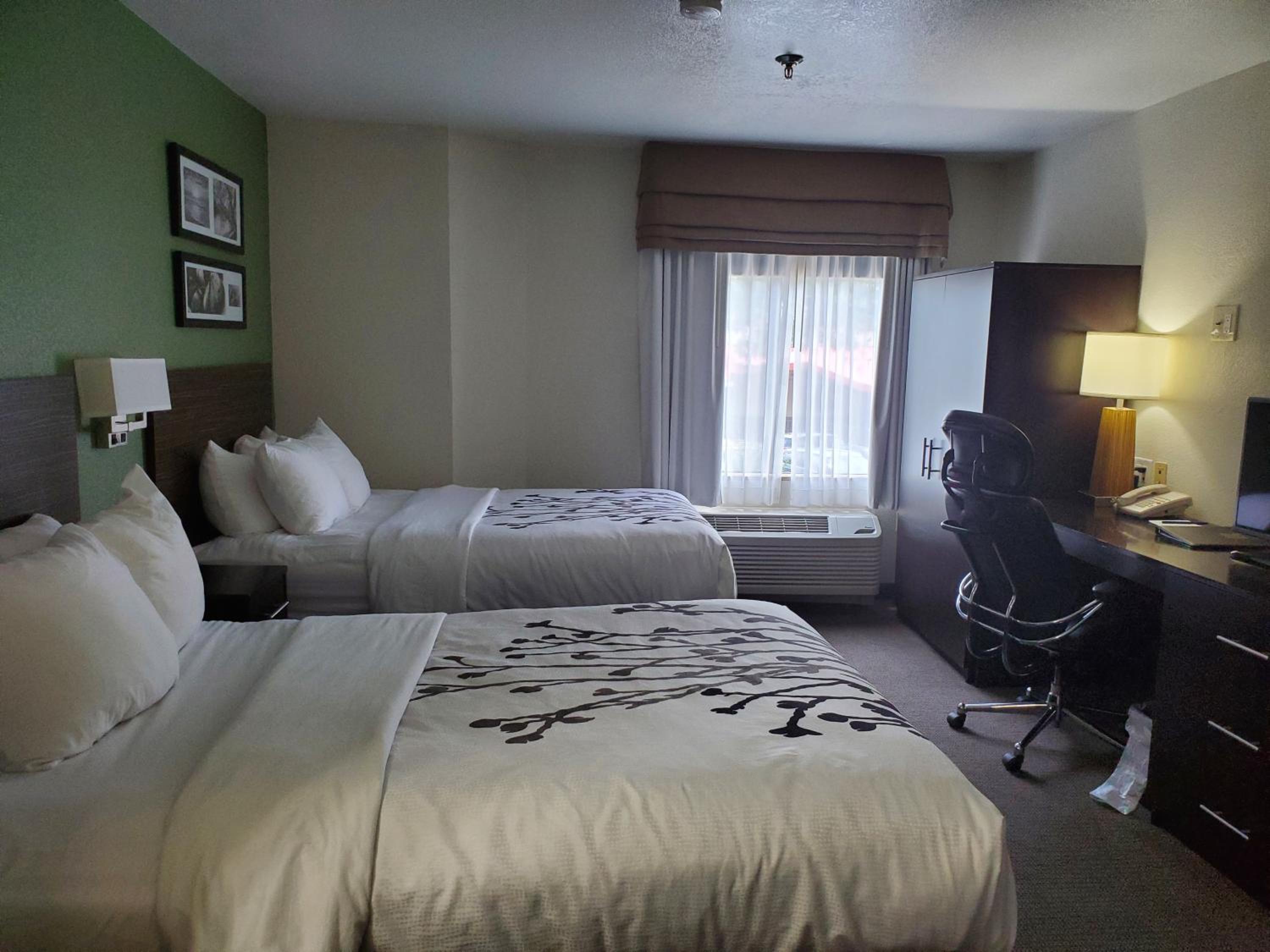 Deluxe Double Room (1 adult + 2 children) - Photo 2