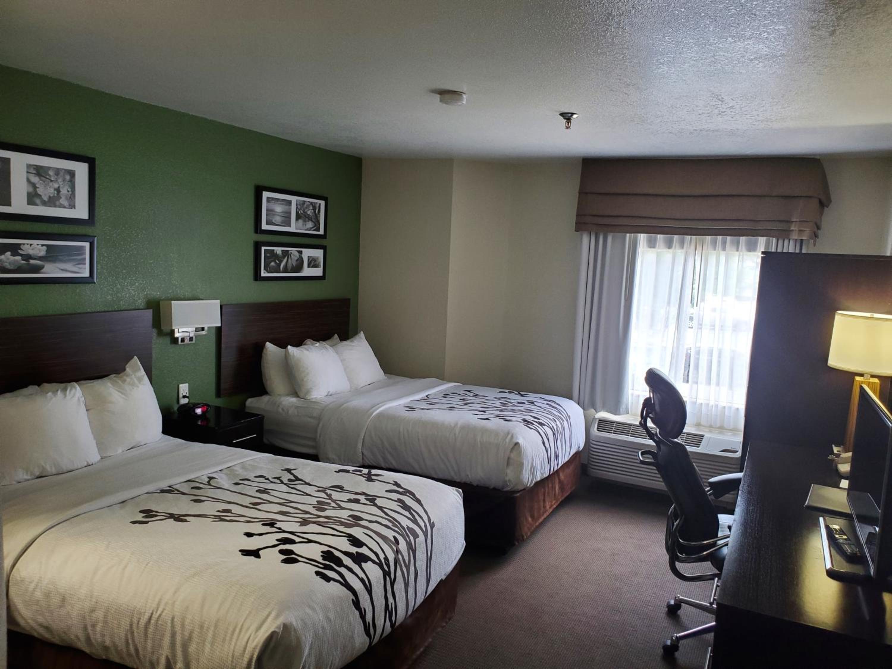 Deluxe Double Room (1 adult + 2 children) - Photo 1