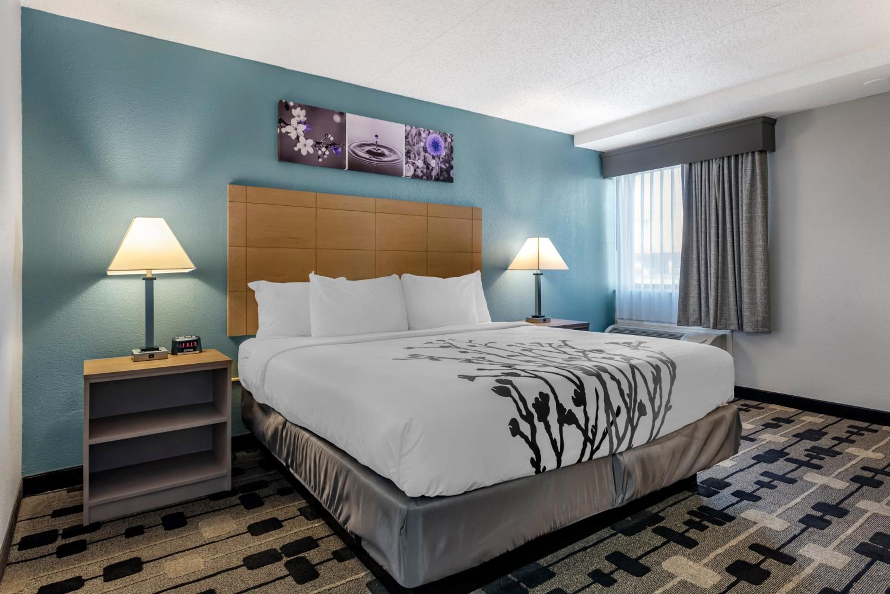 King Room - Disability Access/Non-Smoking - Photo 4