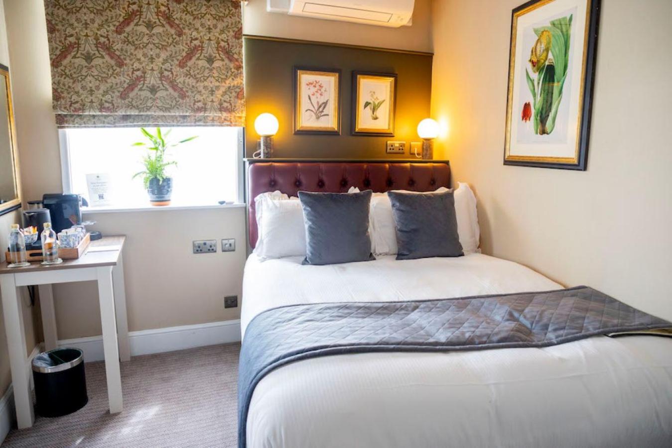 Classic Cozy Double Room