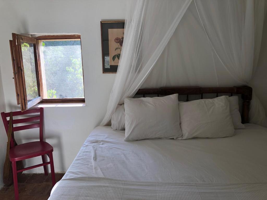 Habitación King con vista al jardín