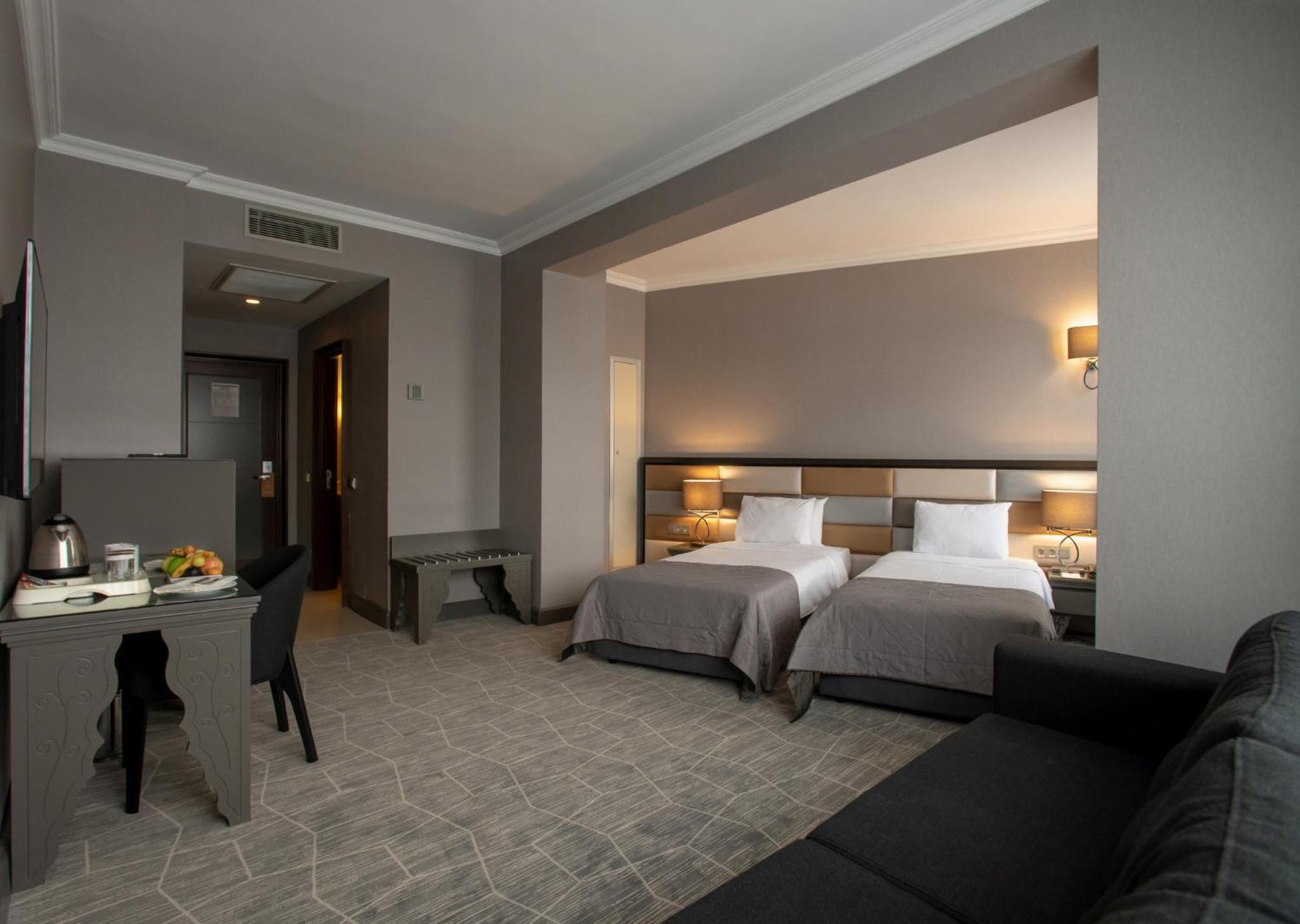 Deluxe Double or Twin Room with City View photo 3