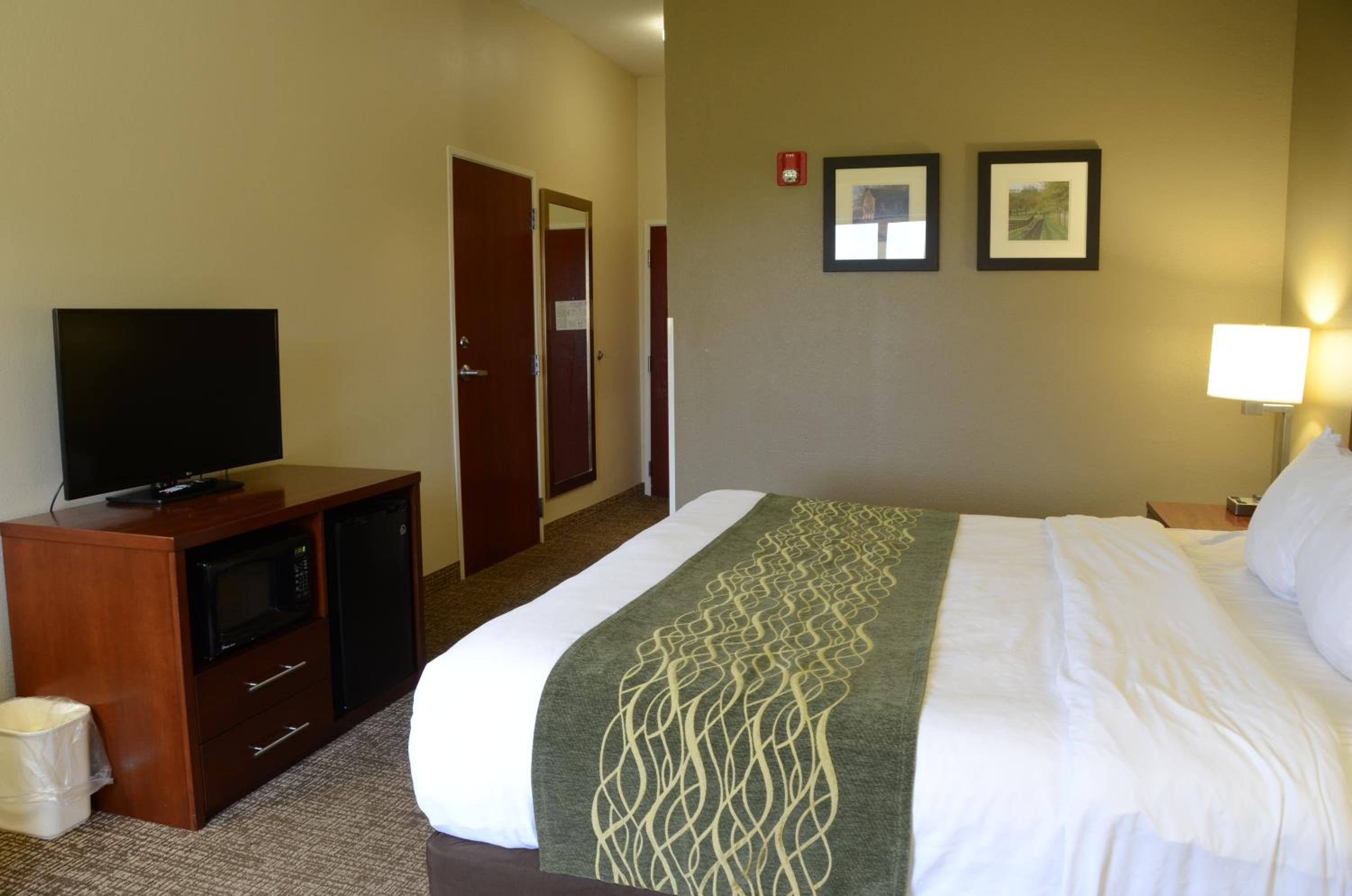 King Room - Disability Access - Non-Smoking - Photo 3