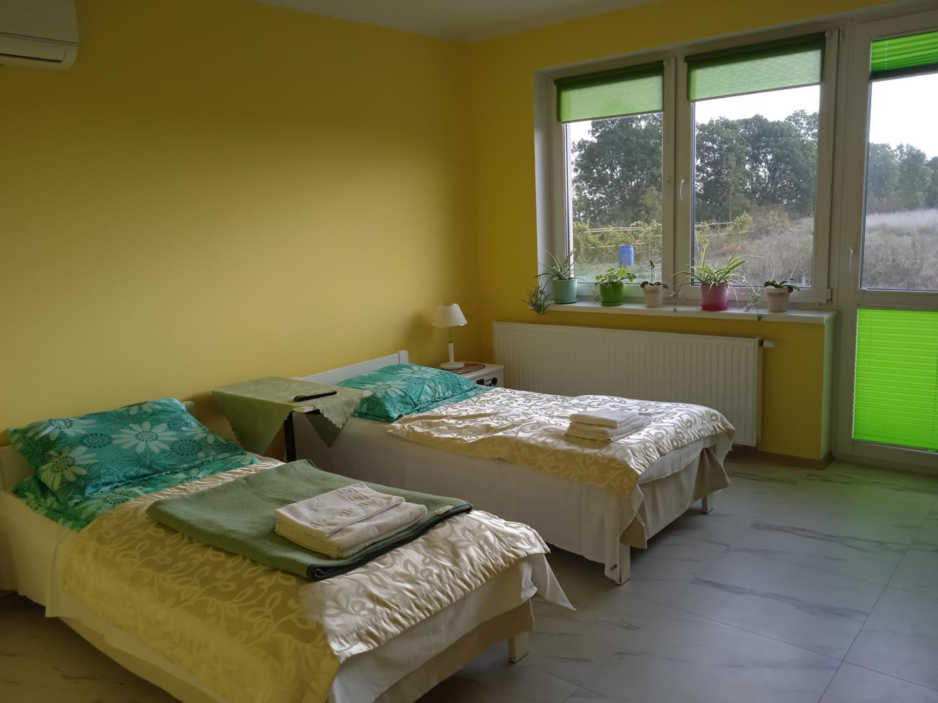 Twin Room with Balcony photo 2