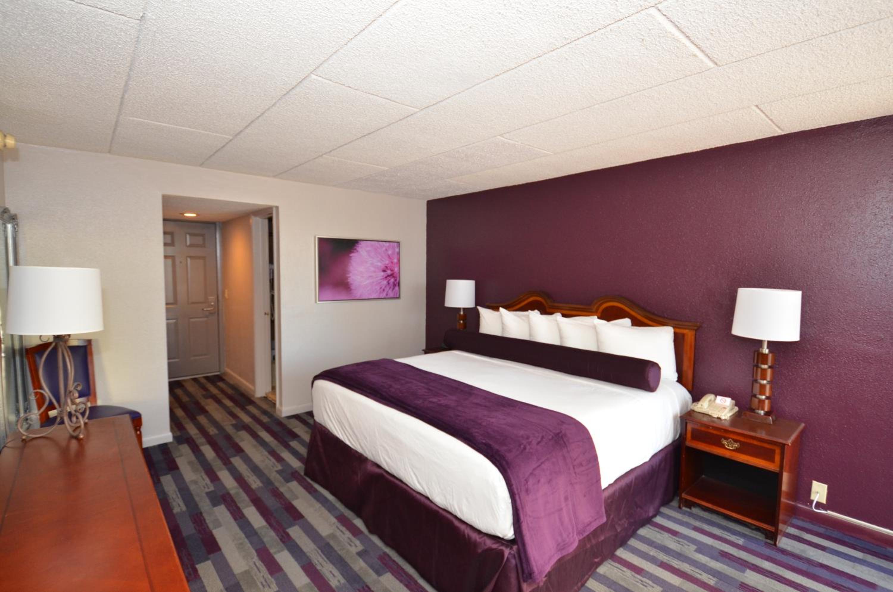 King Room - Photo 4