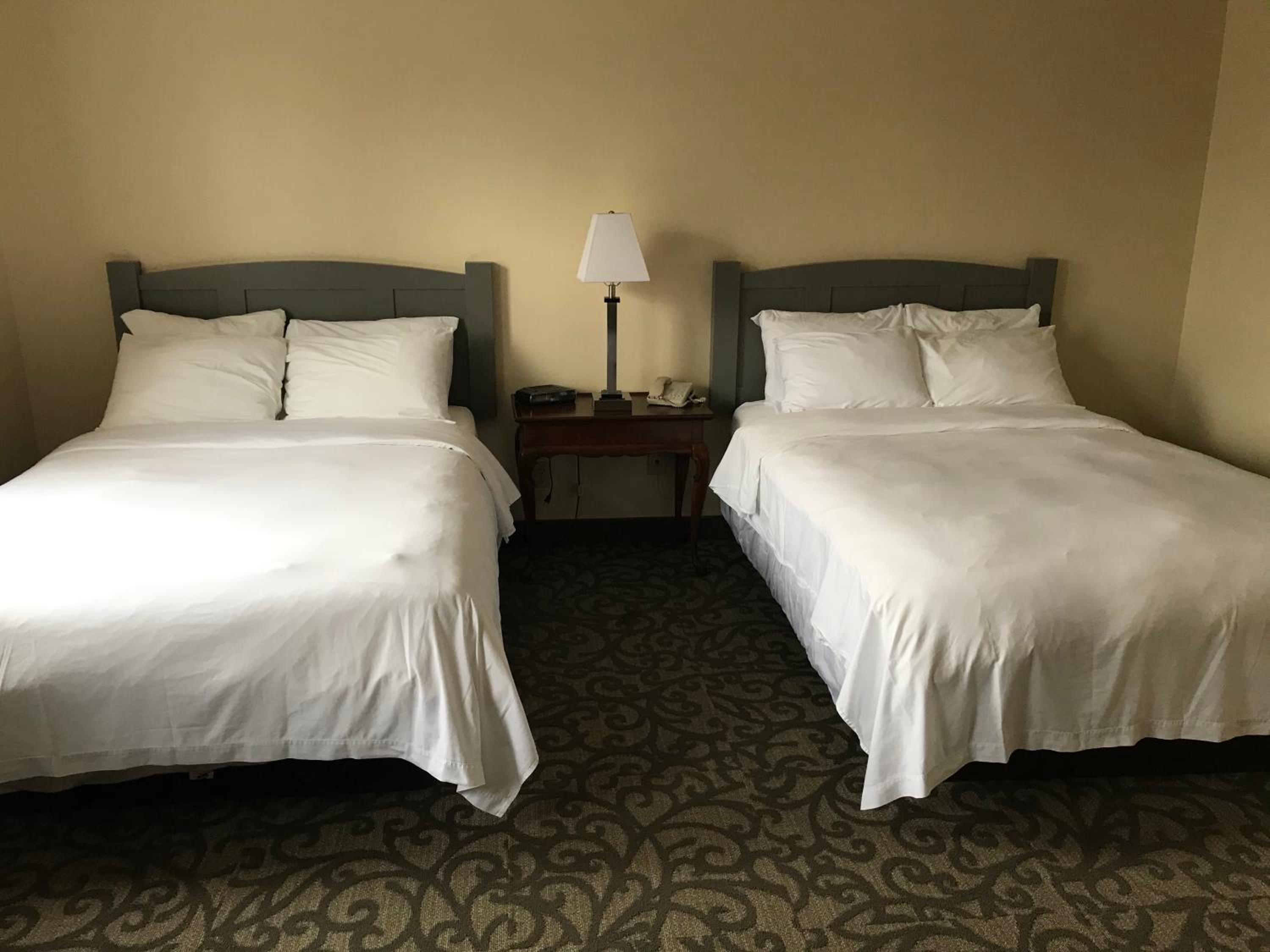 Double Room with Garden View photo 1