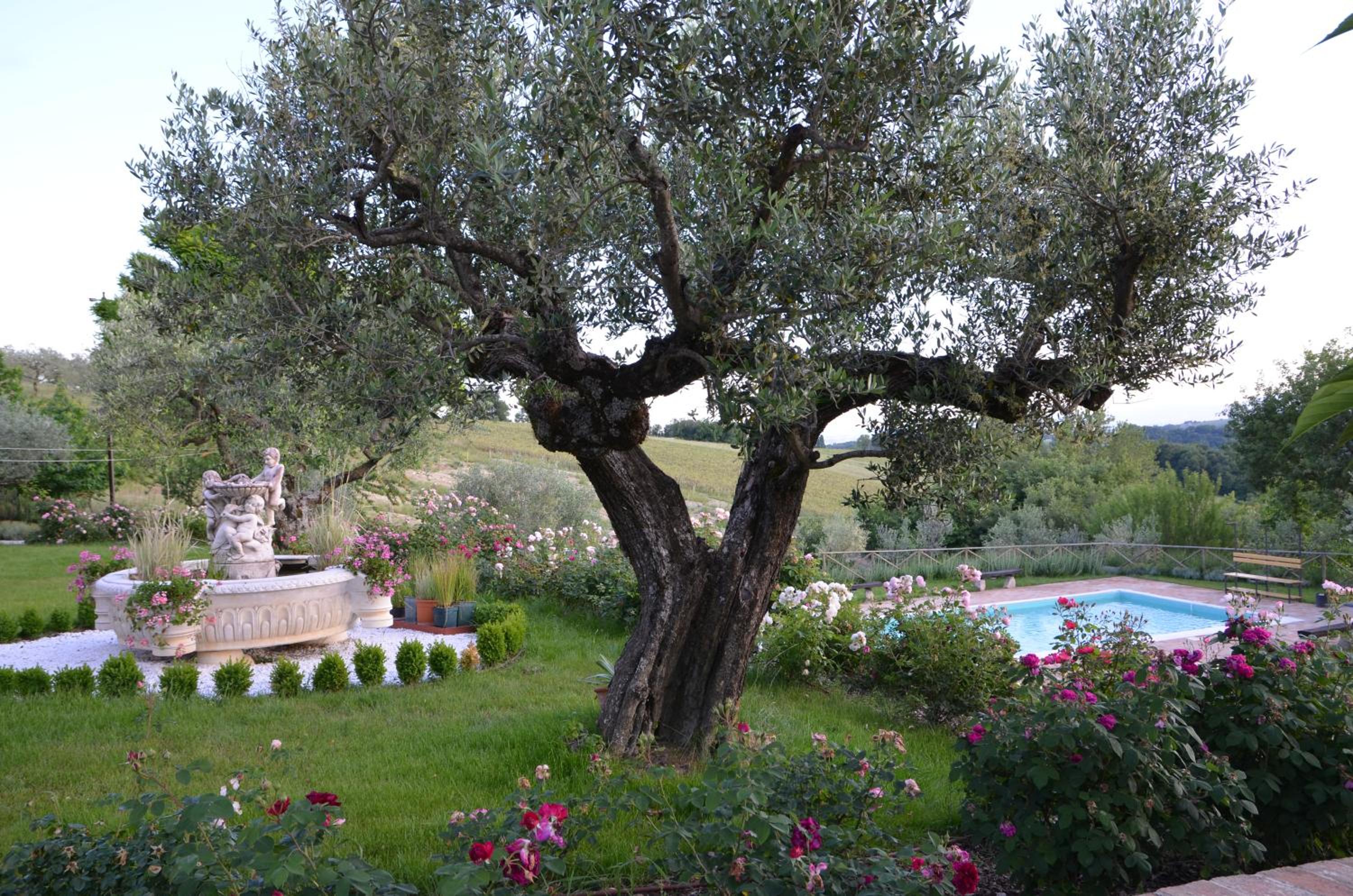 Villa photo 2