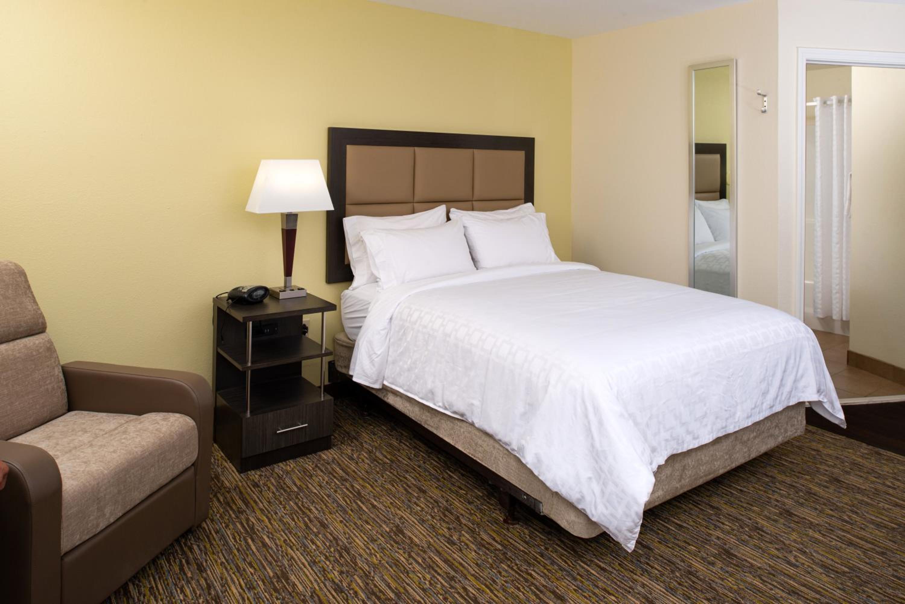 One-Bedroom Suite - Photo 4