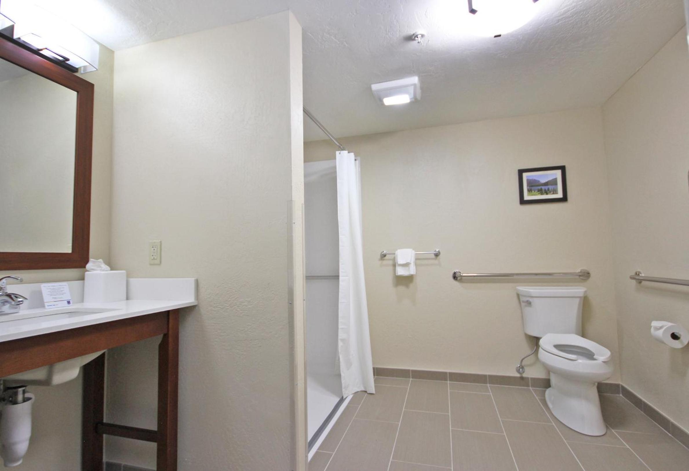 Deluxe King Room with Transfer Shower - Accessible/Non-Smoking photo 3