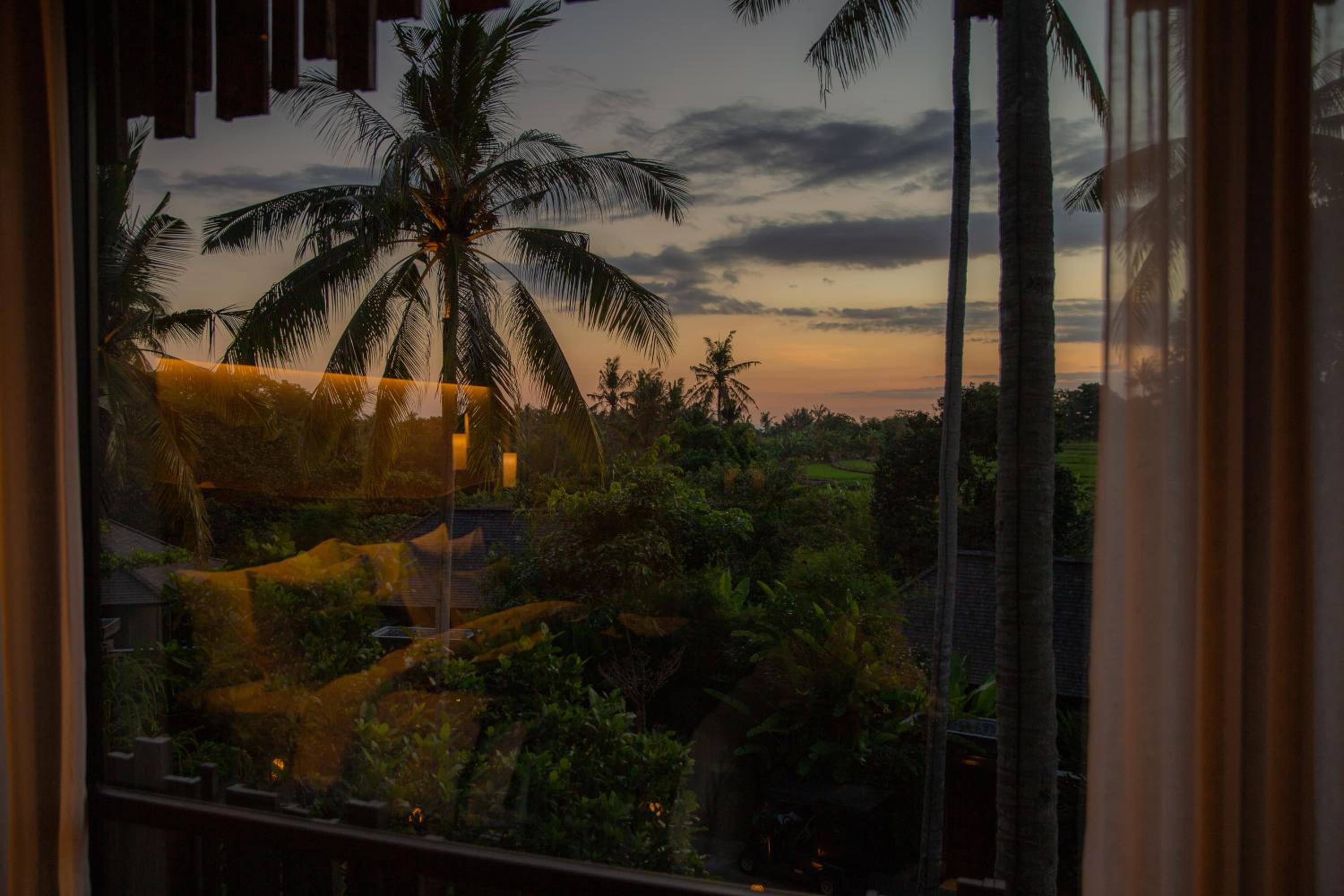 Canopy Suite - Photo 5