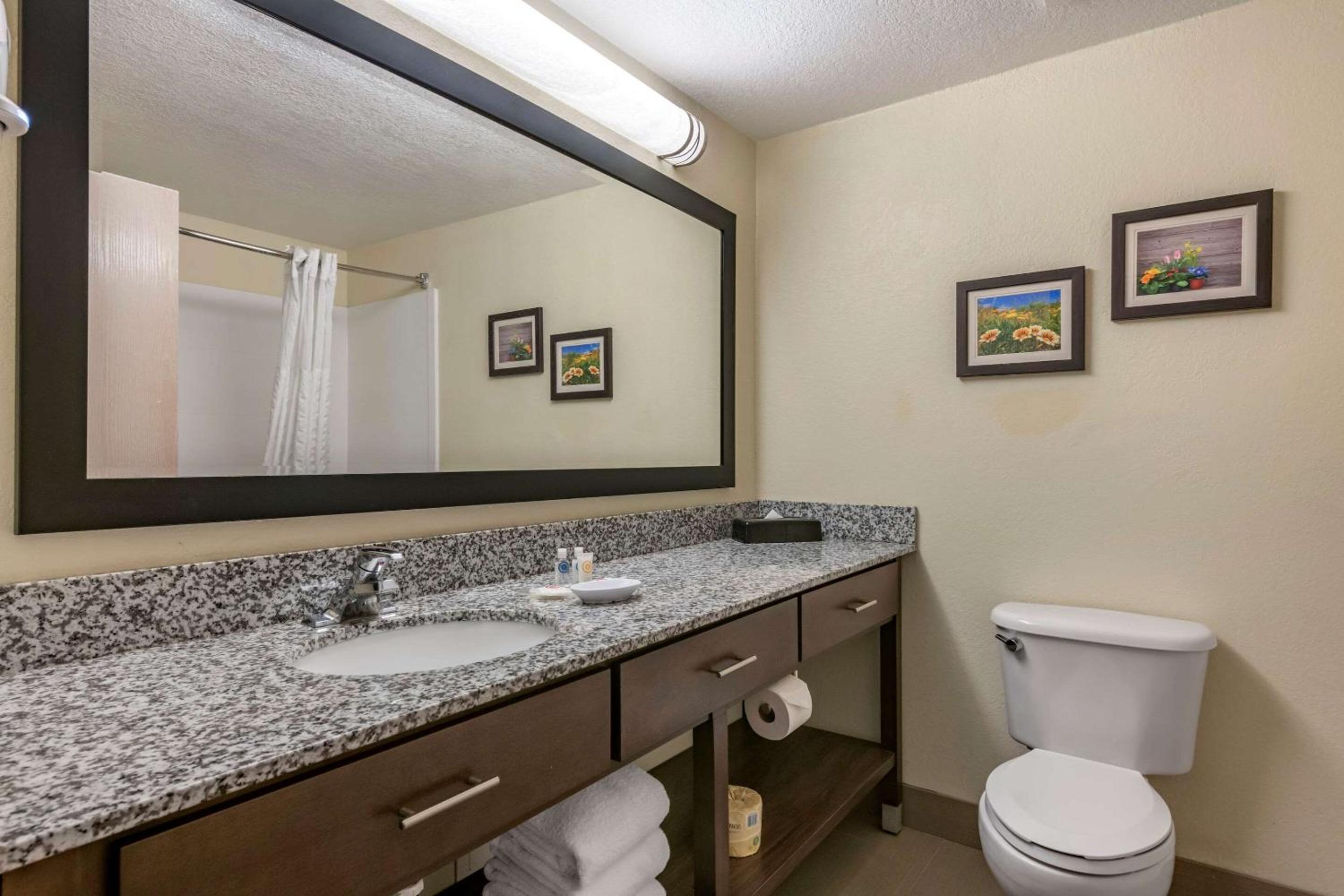 Queen Suite