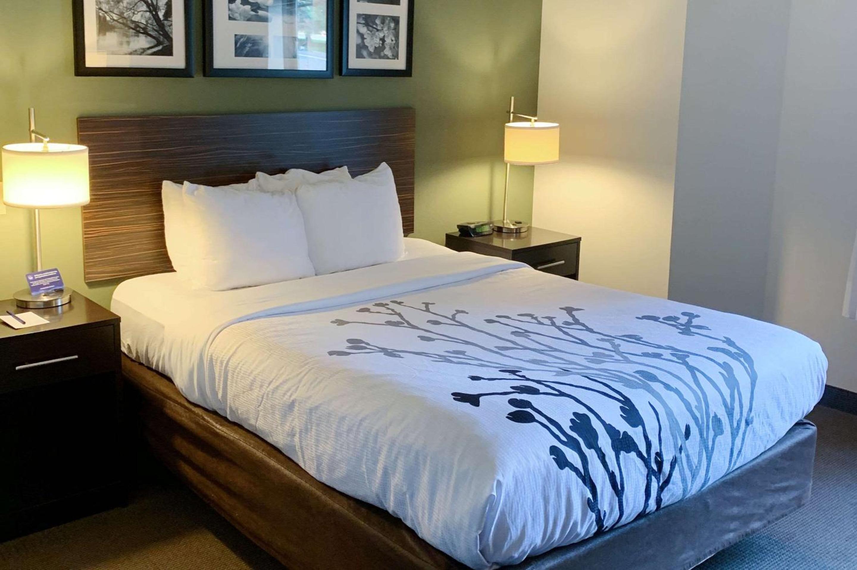 Queen Room with Roll-In Shower - Accessible/Non-Smoking - Photo 1