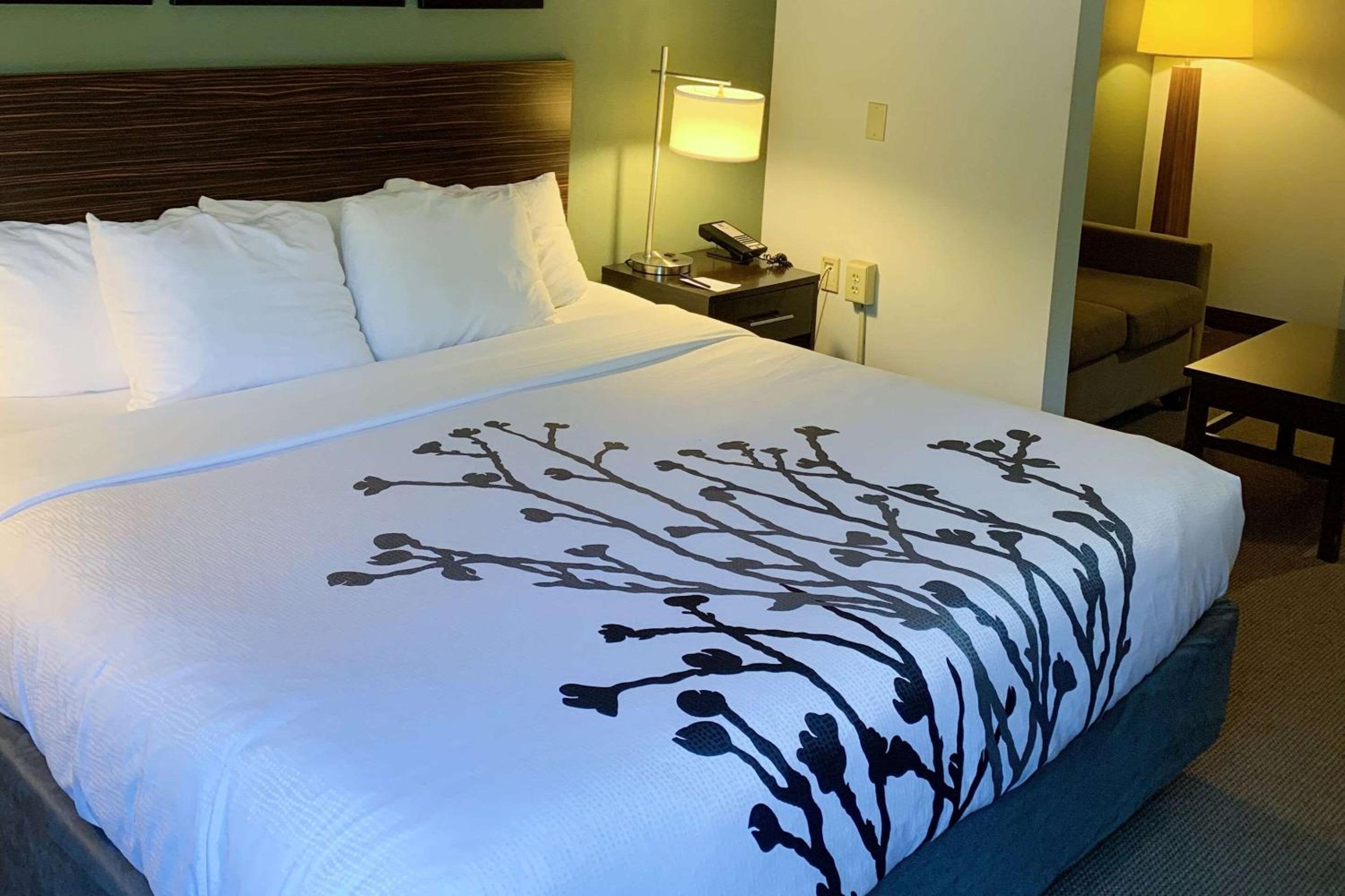 King Suite with Whirlpool and Sofa Bed - Non-Smoking - Photo 1
