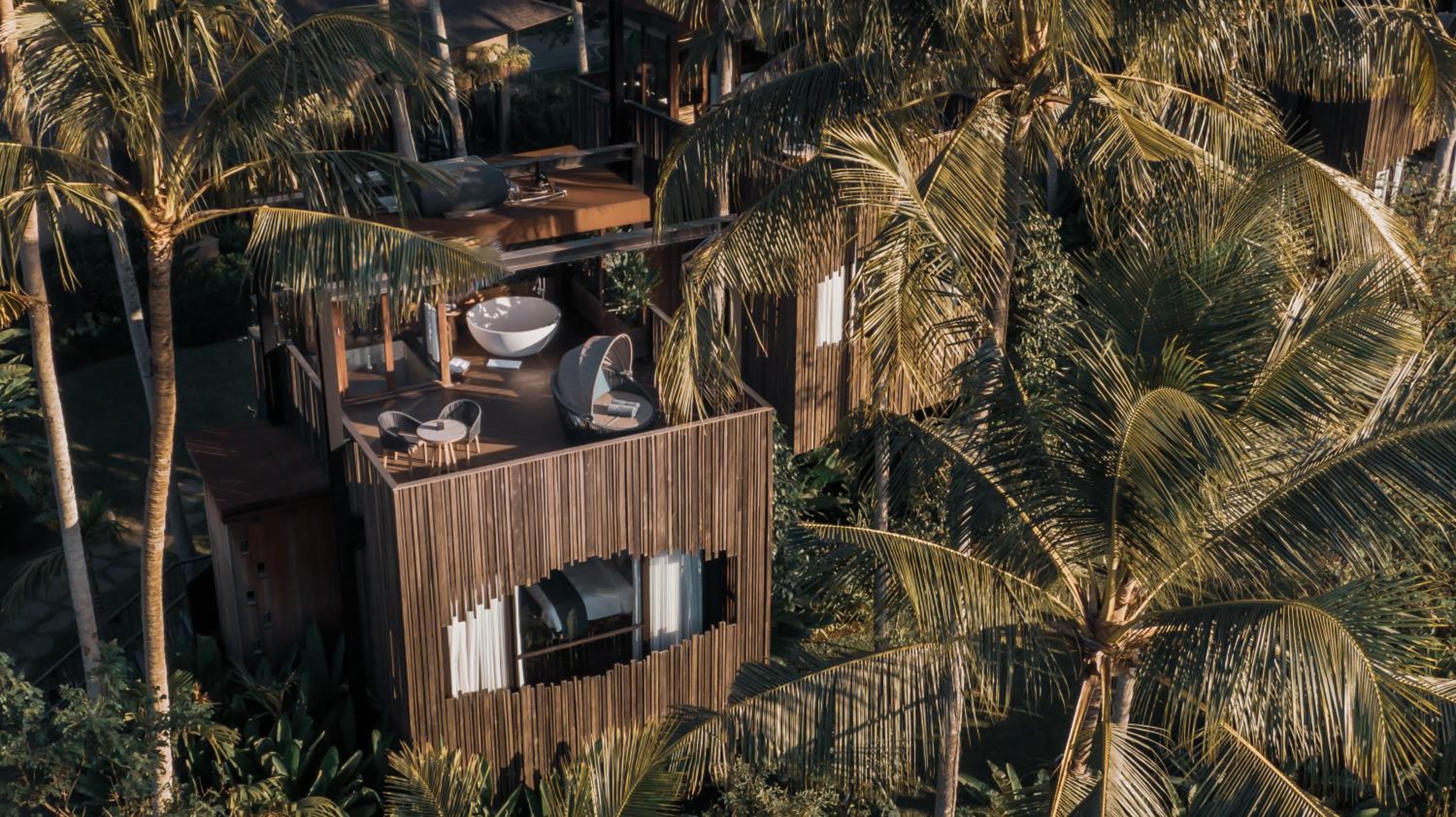 Canopy Suite - Photo 4