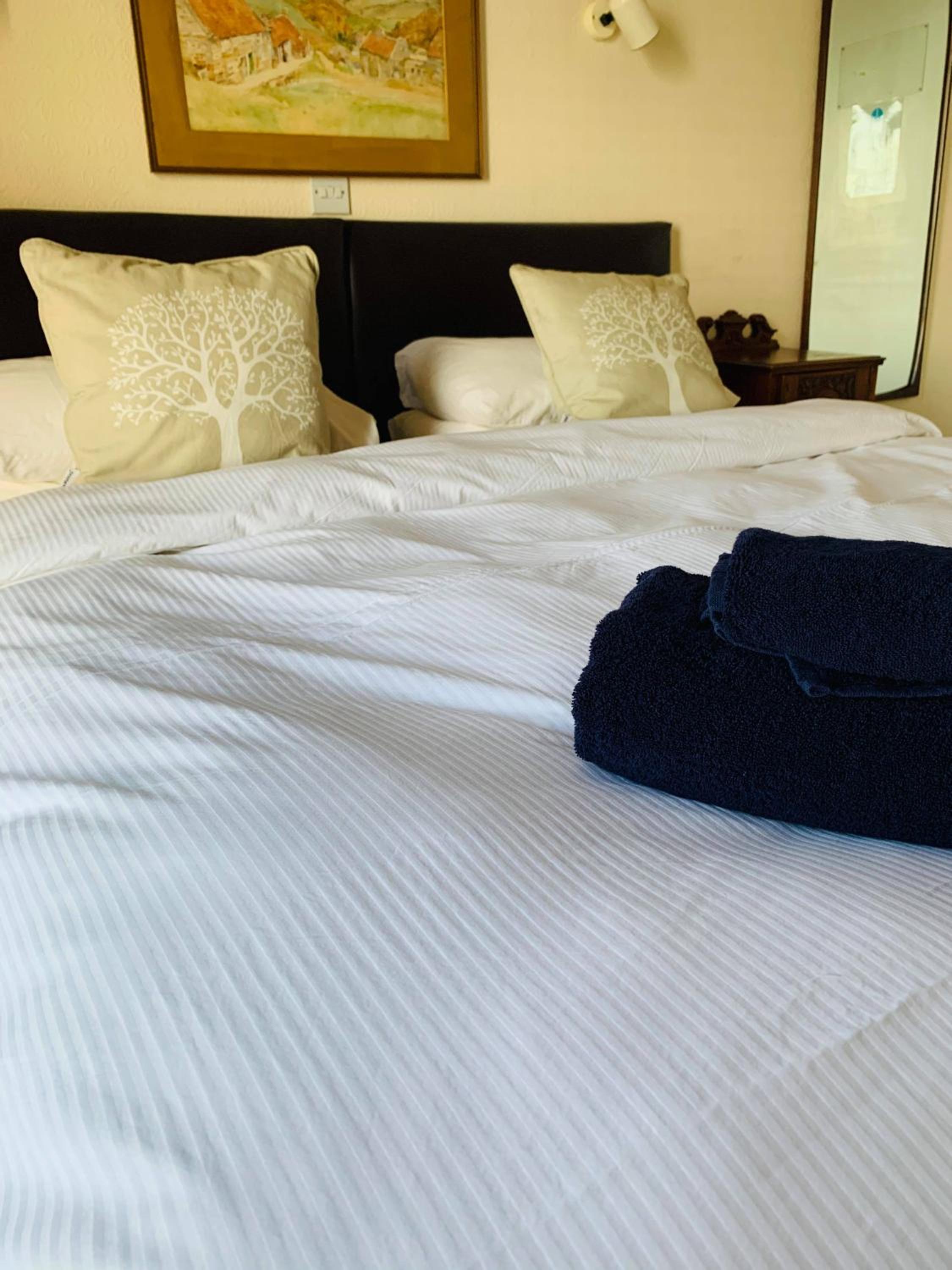 Superior Twin Room - Photo 3