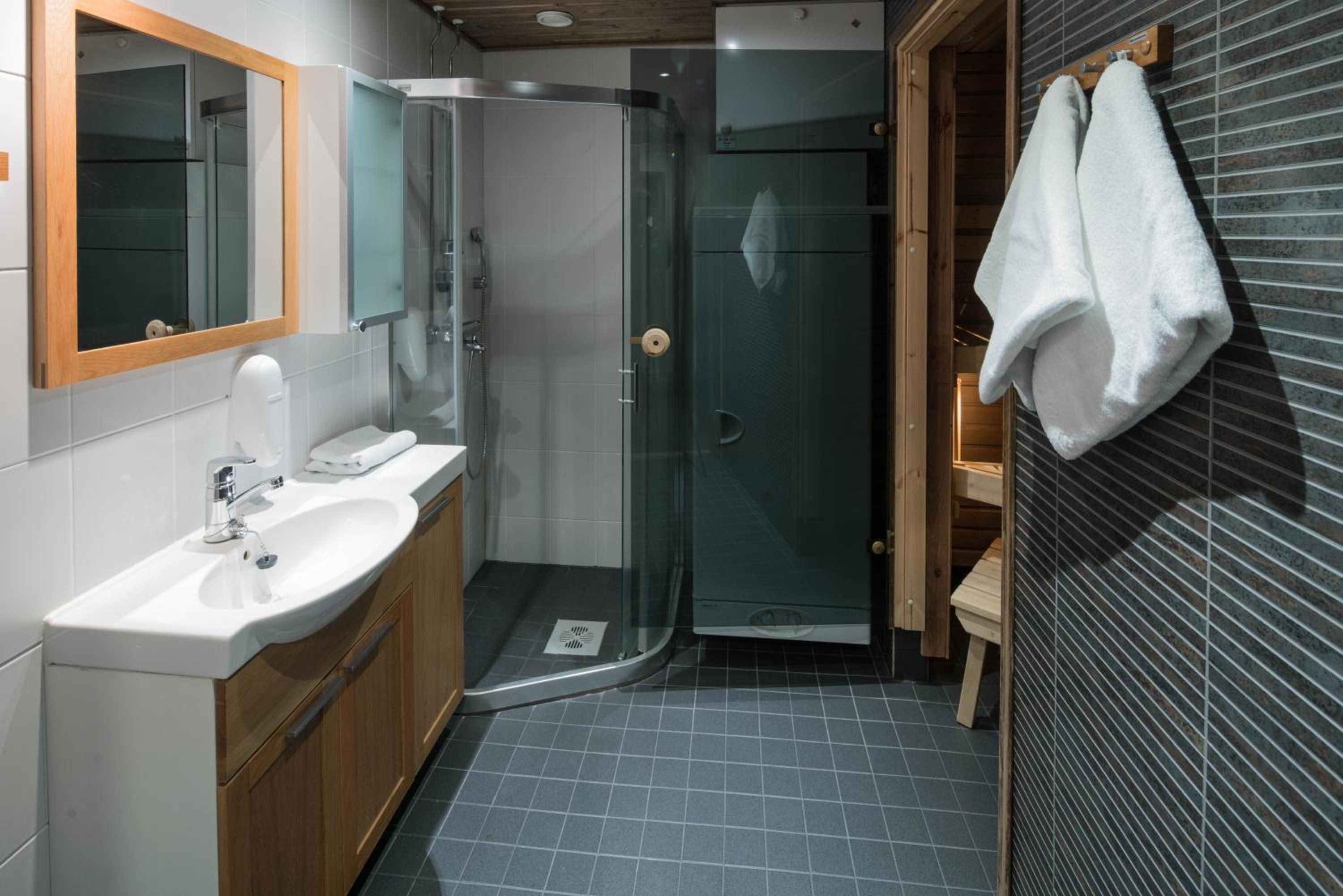 One-Bedroom Suite with Sauna - Photo 7