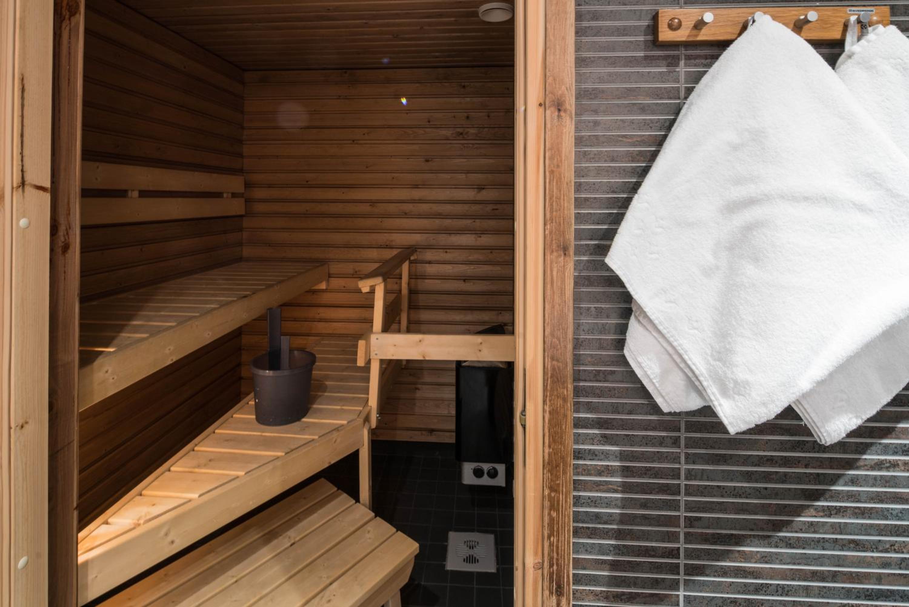One-Bedroom Suite with Sauna - Photo 6