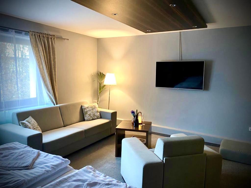 Superior Apartment - Photo 3
