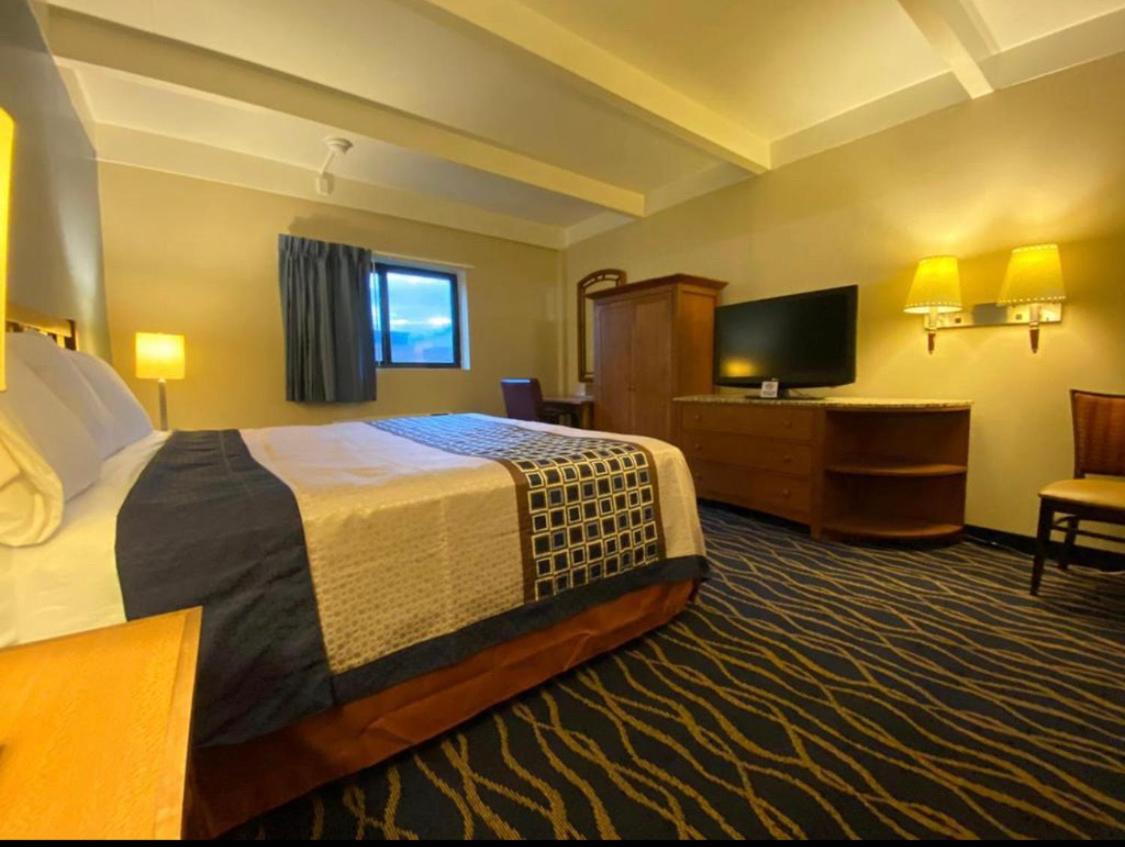 King Suite photo 1