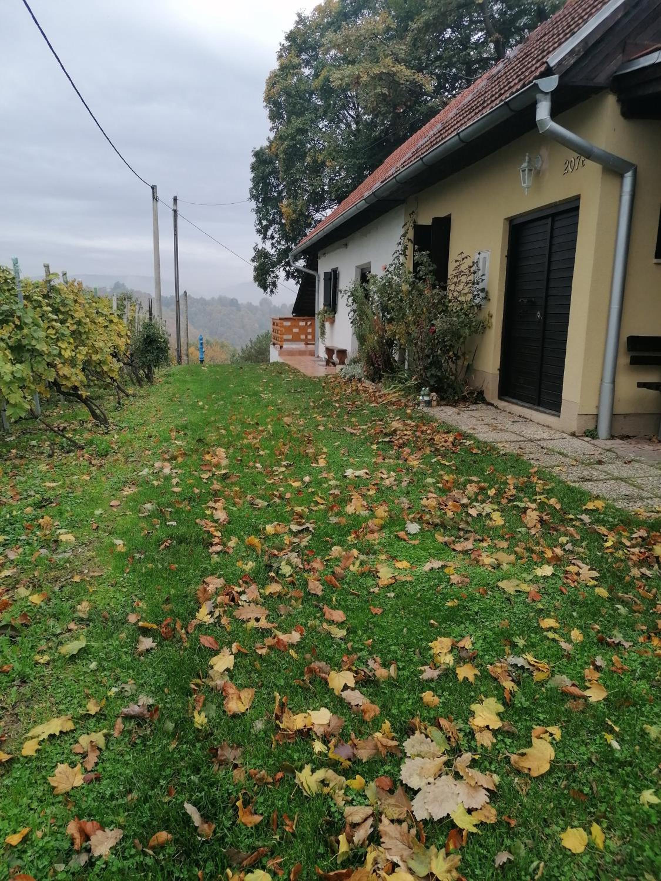 One-Bedroom House - Photo 23