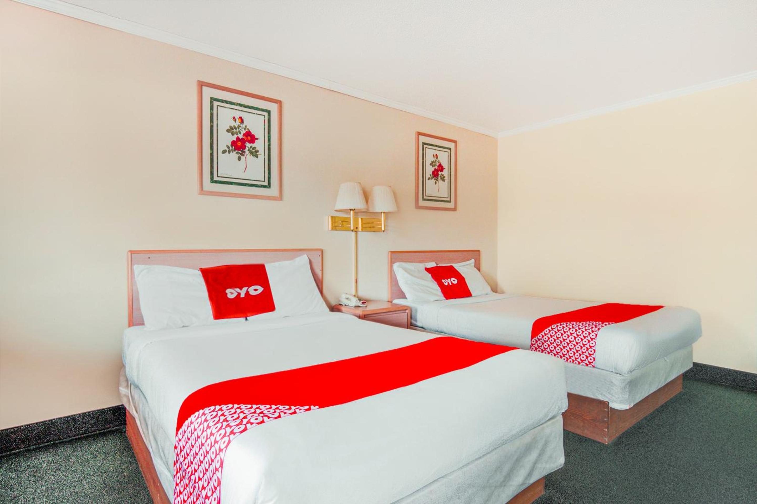 2 Full Bed - Photo 1