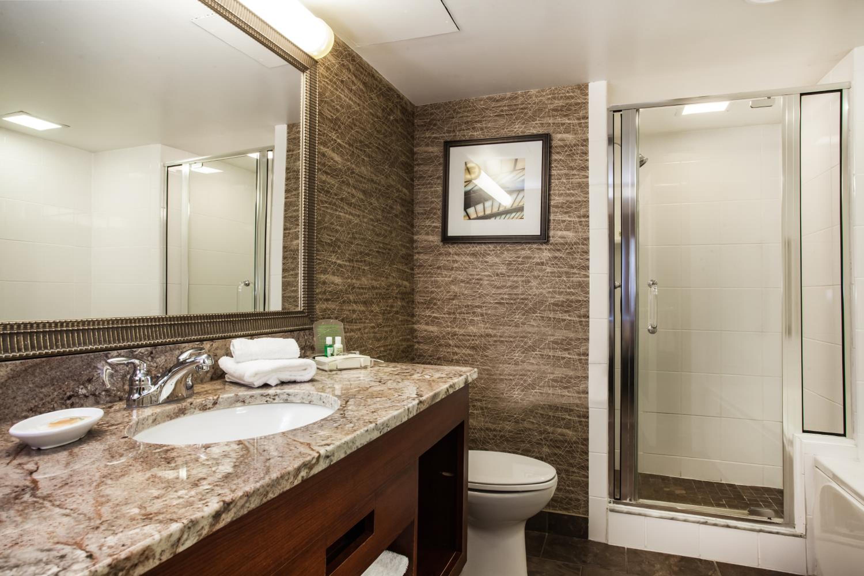 One-Bedroom King Suite - Photo 10