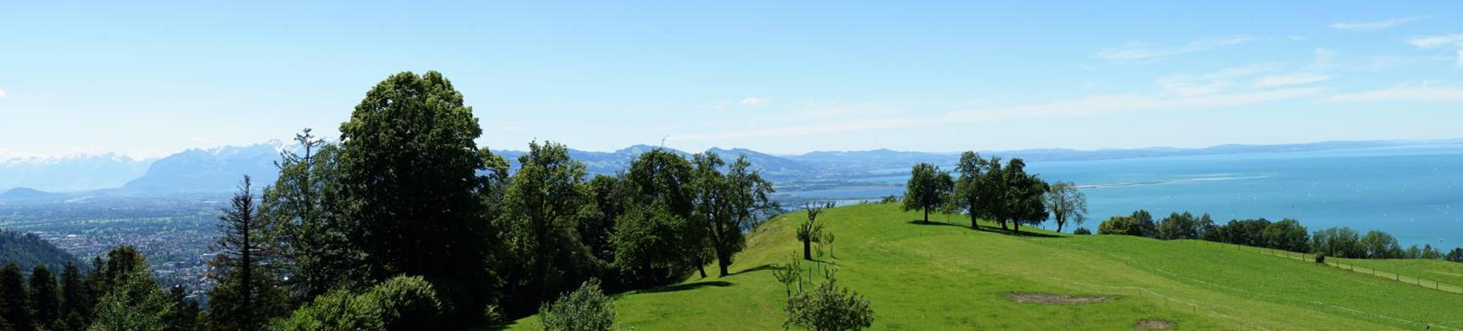 Deluxe Double Room with Balcony photo 3